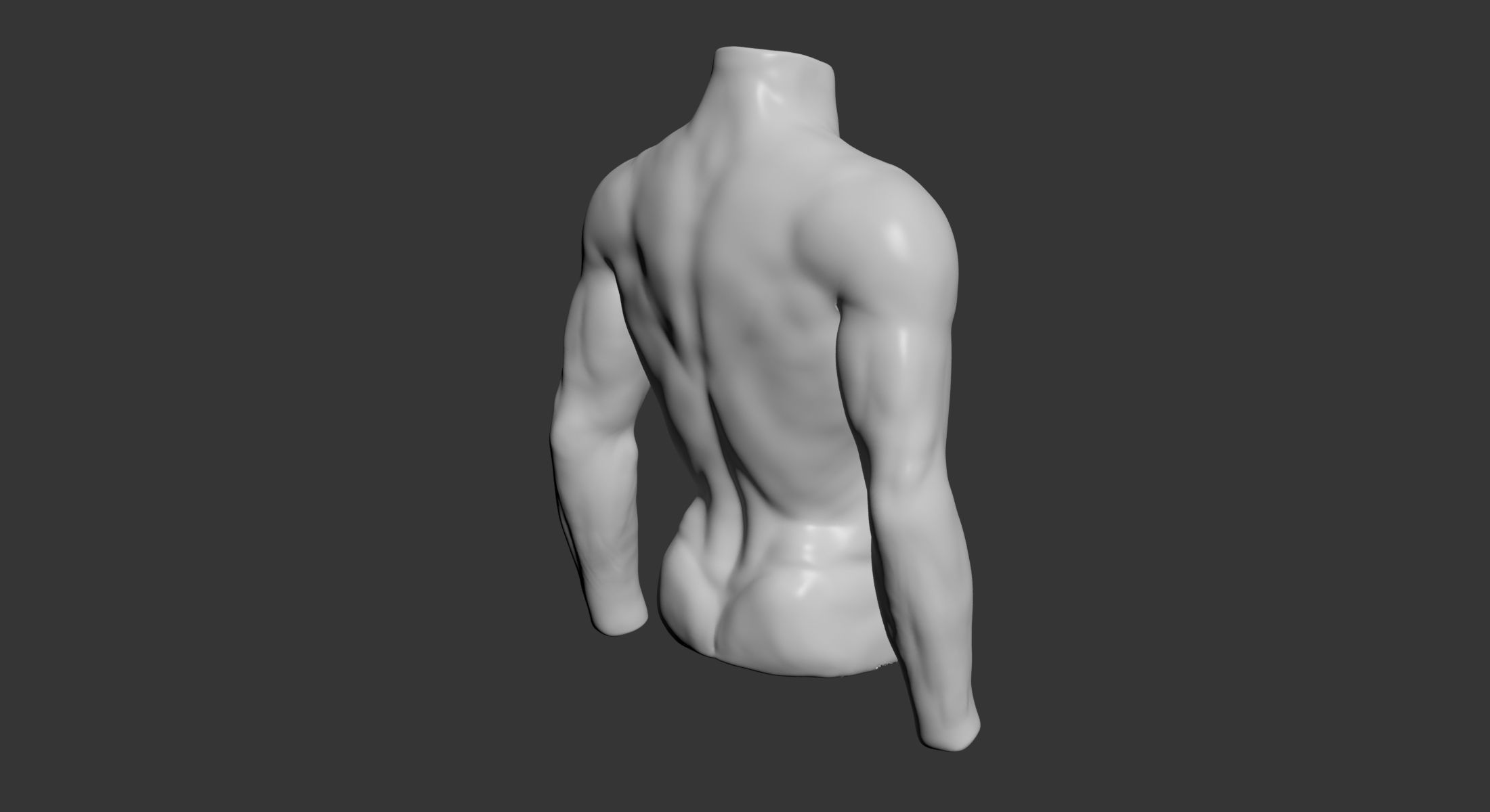 Female and Male Torso Manenequins 3D model_3
