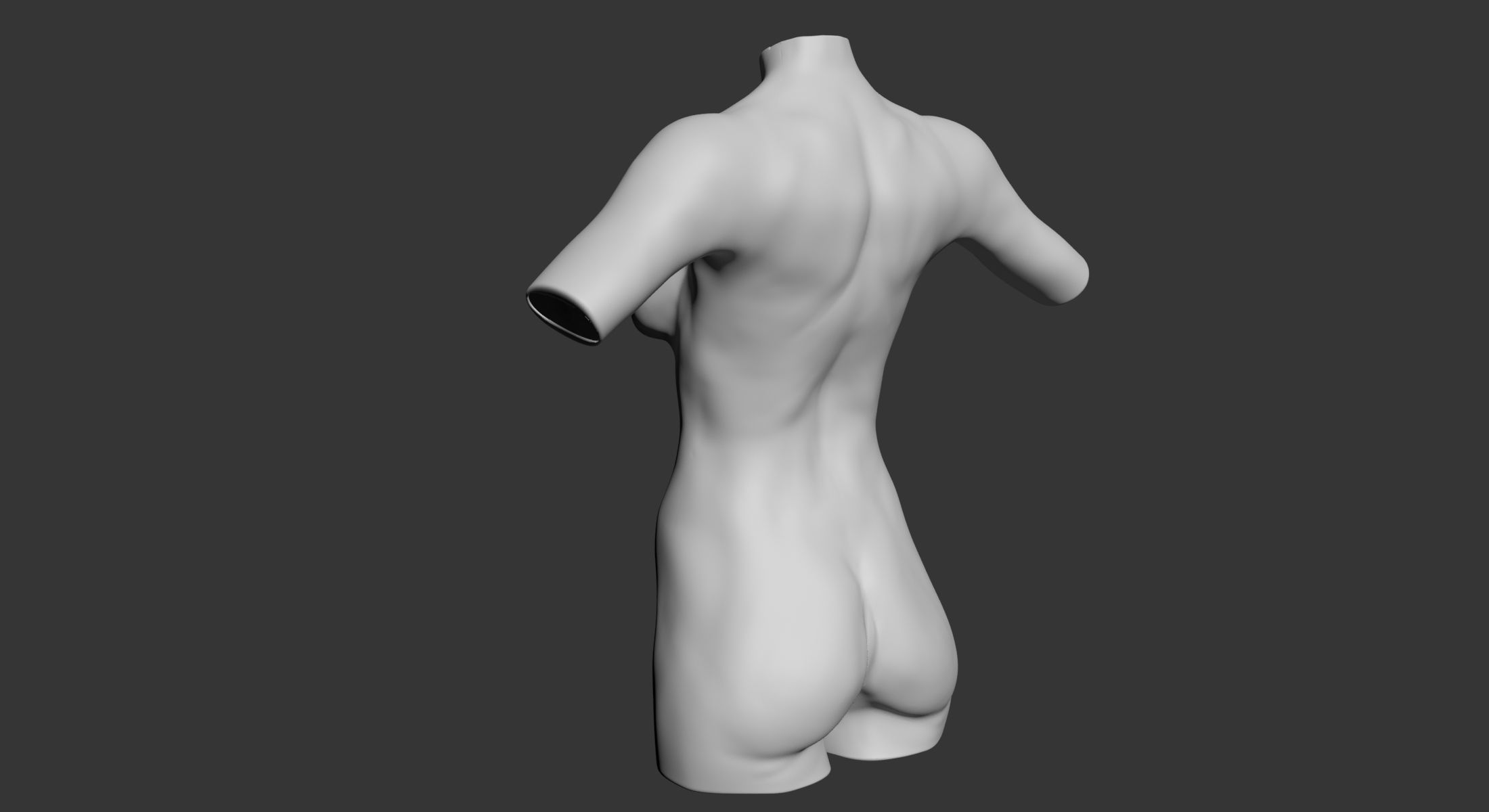 Female and Male Torso Manenequins 3D model_9