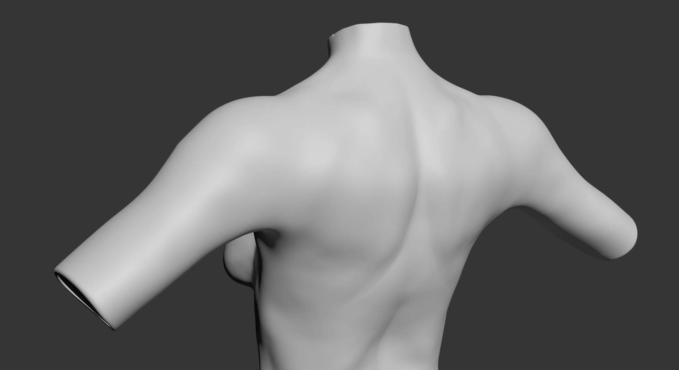 Female and Male Torso Manenequins 3D model_11