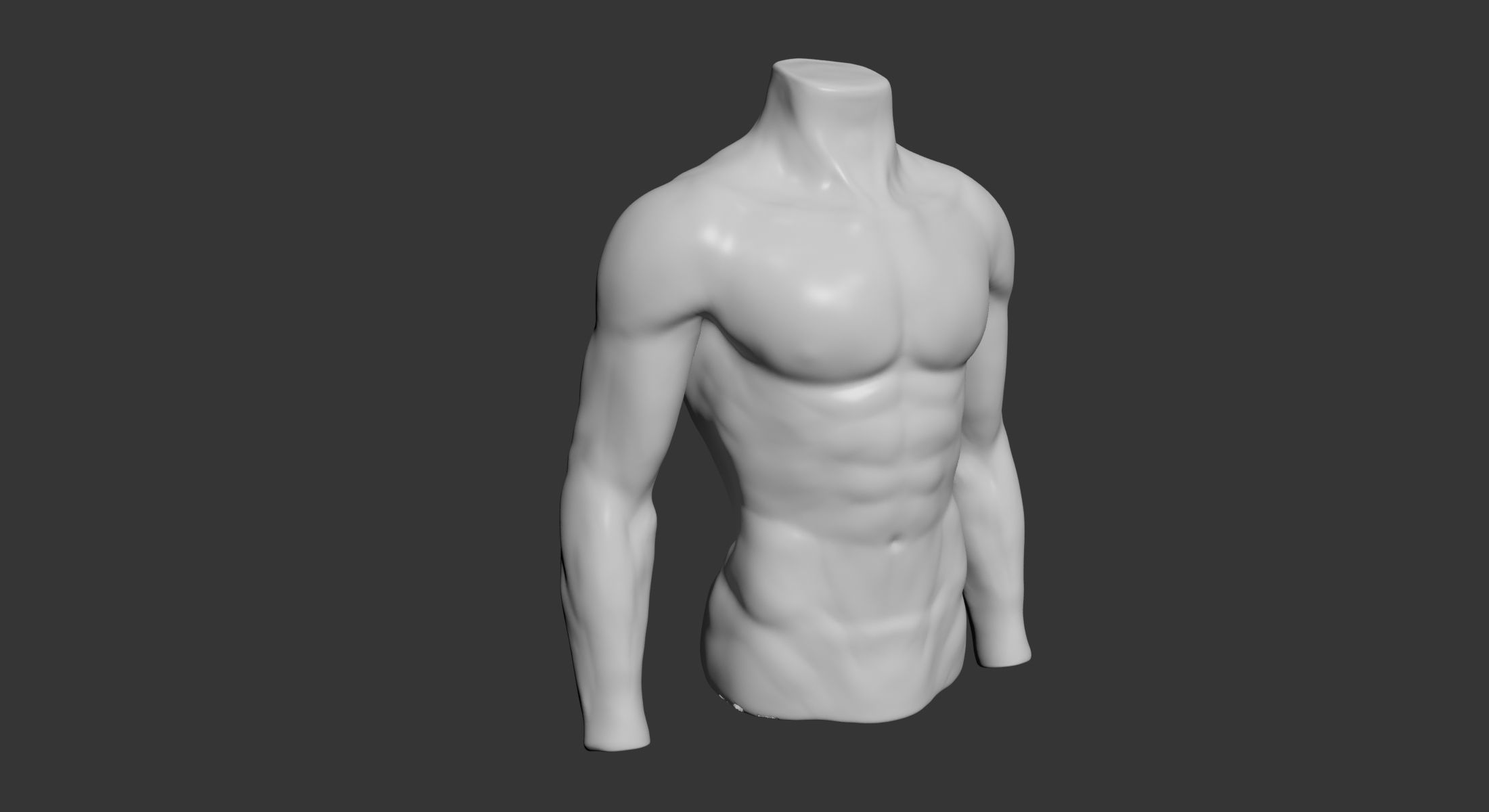 Female and Male Torso Manenequins 3D model_2