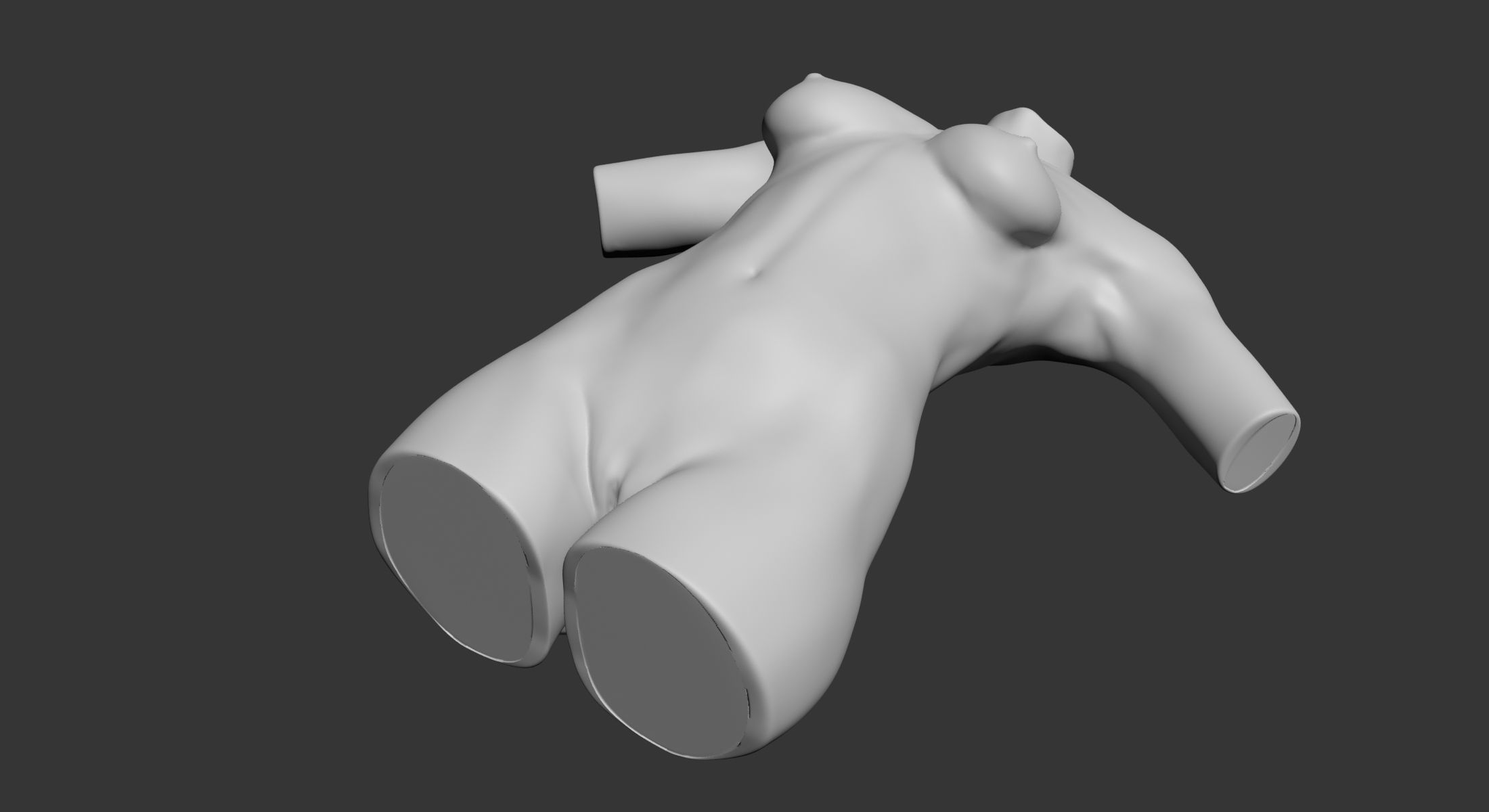 Female and Male Torso Manenequins 3D model_10