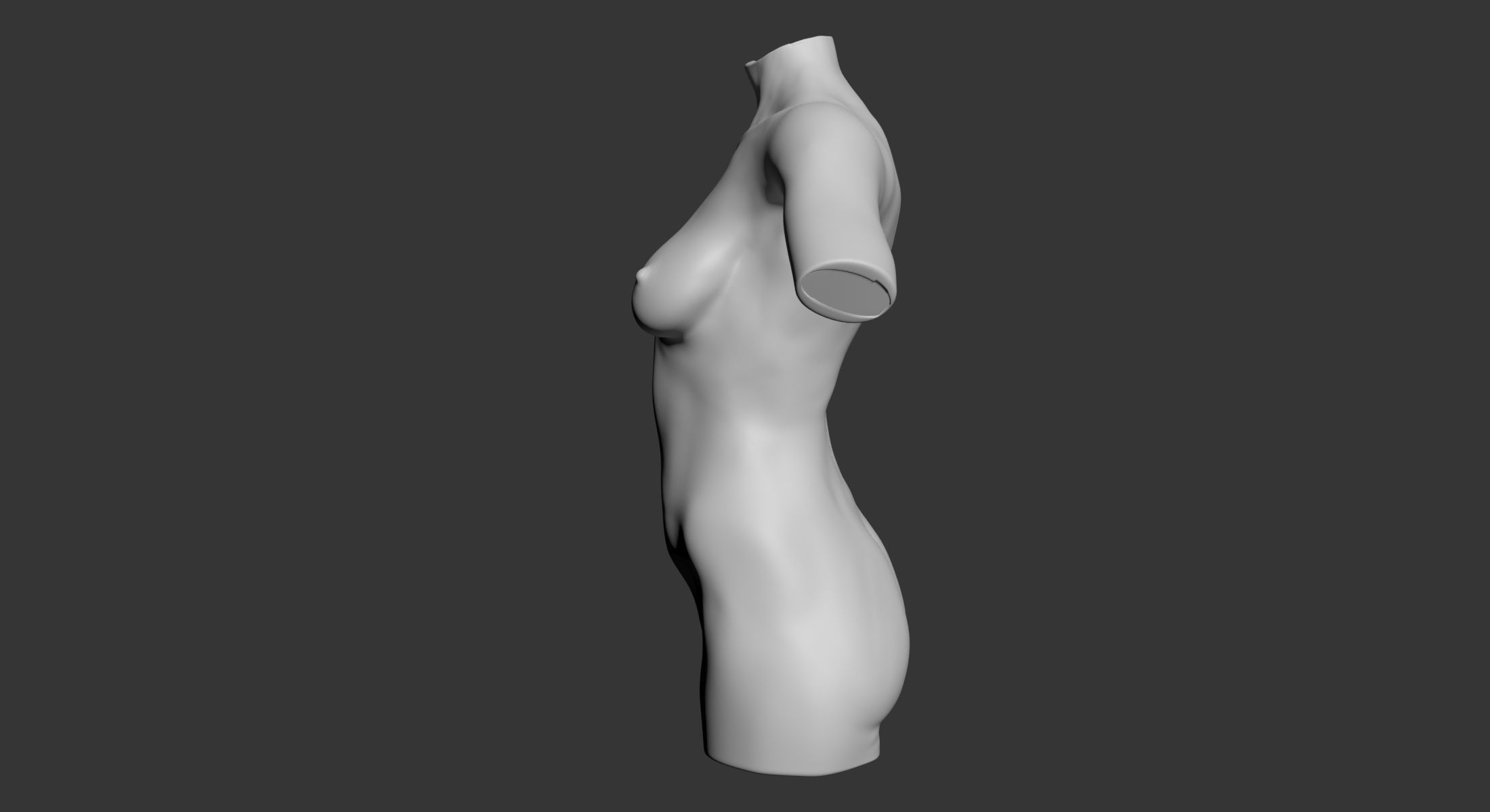 Female and Male Torso Manenequins 3D model_8