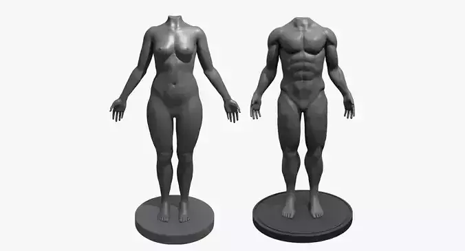 Male and Female Mannequins