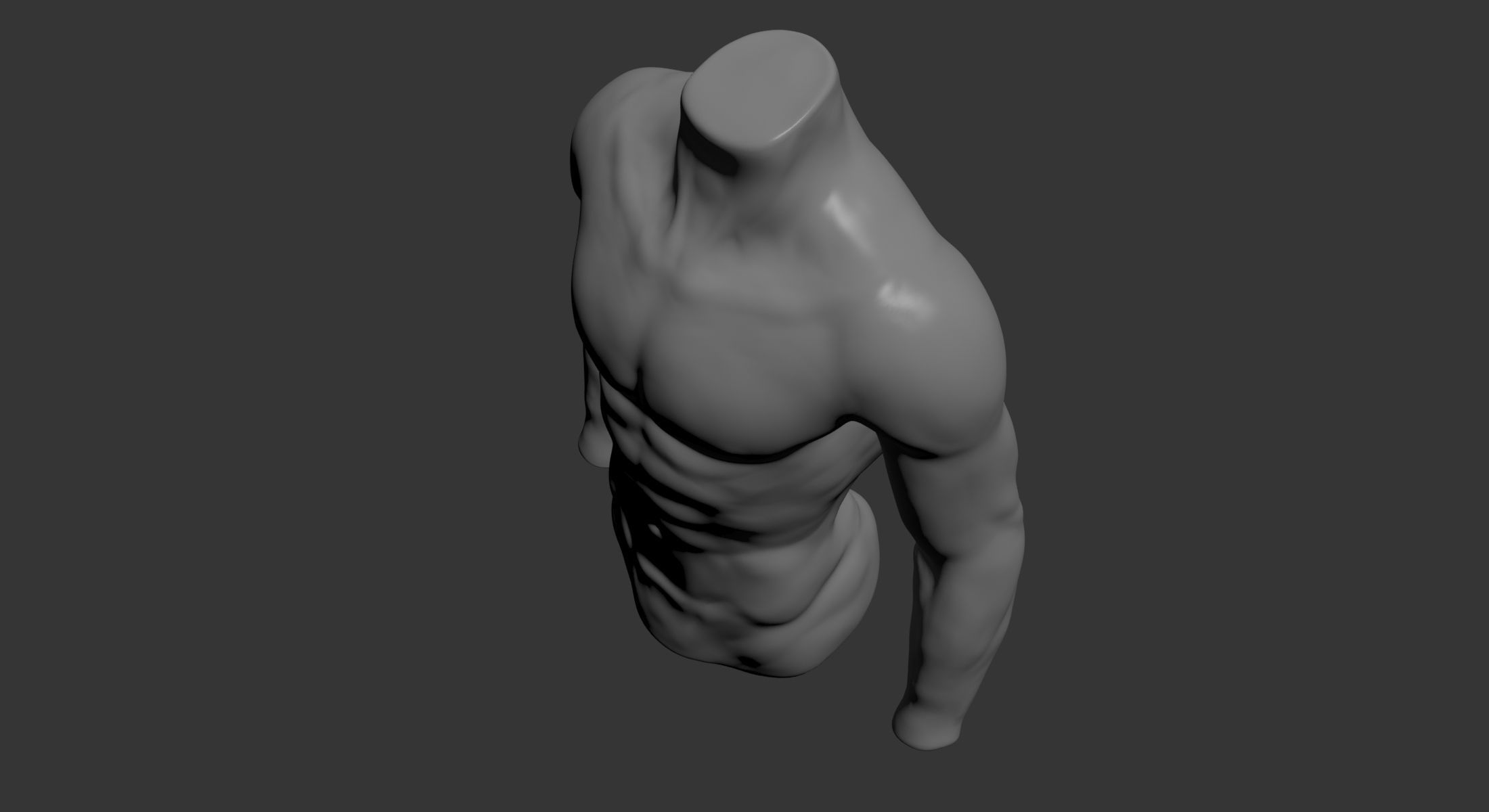 Male Mannequin Torso 3D model_5