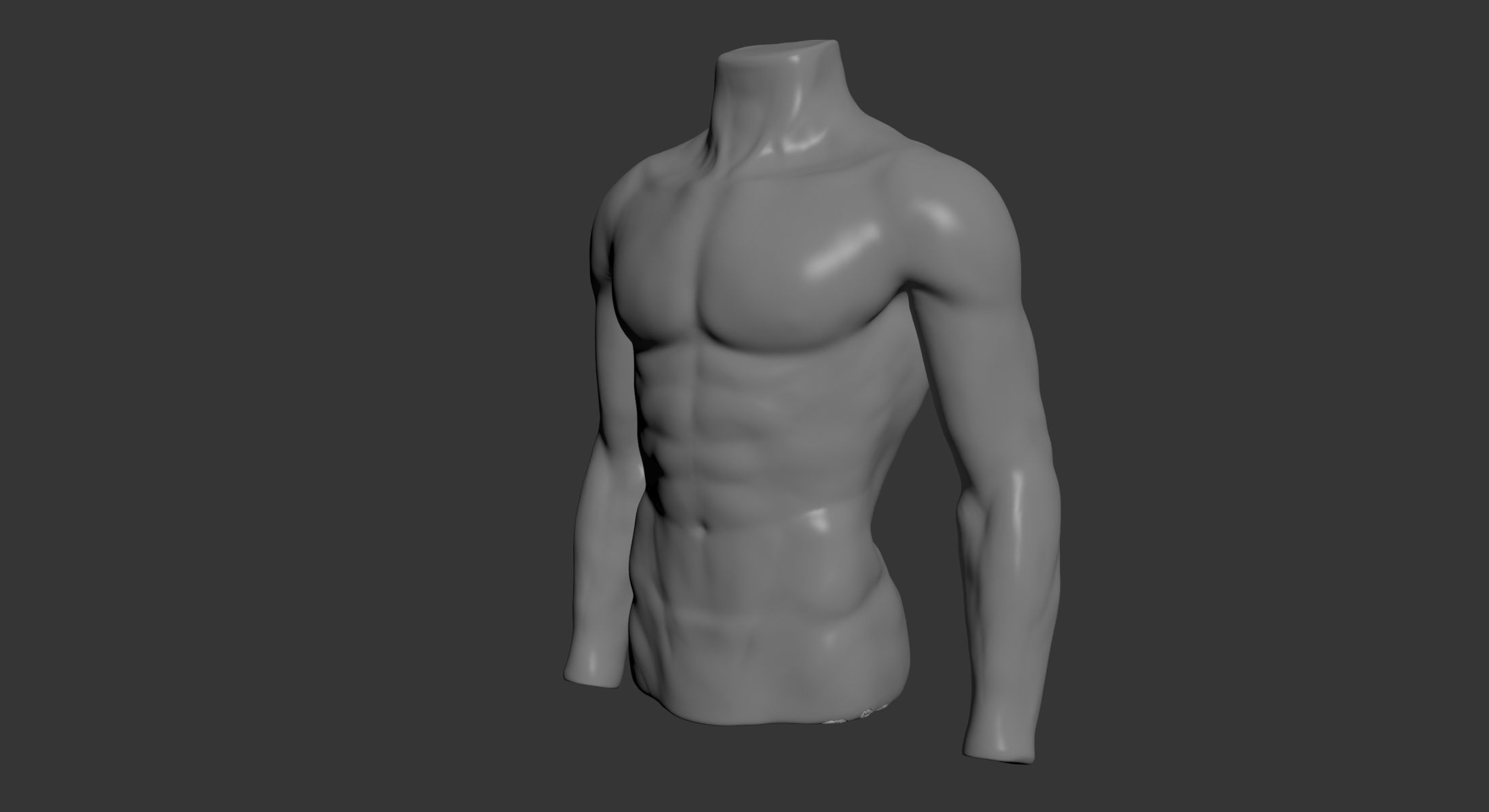 Male Mannequin Torso 3D model_3