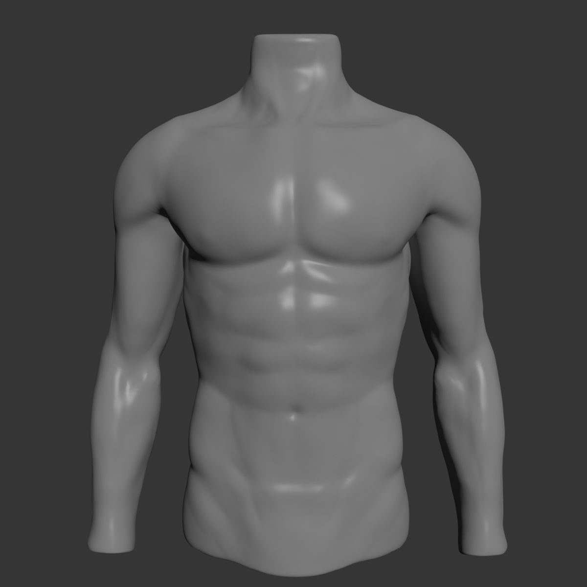 Male Mannequin Torso 3D model_2