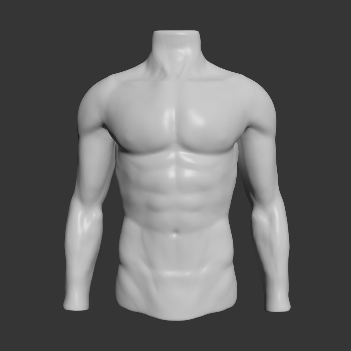 Male Mannequin Torso 3D model_1