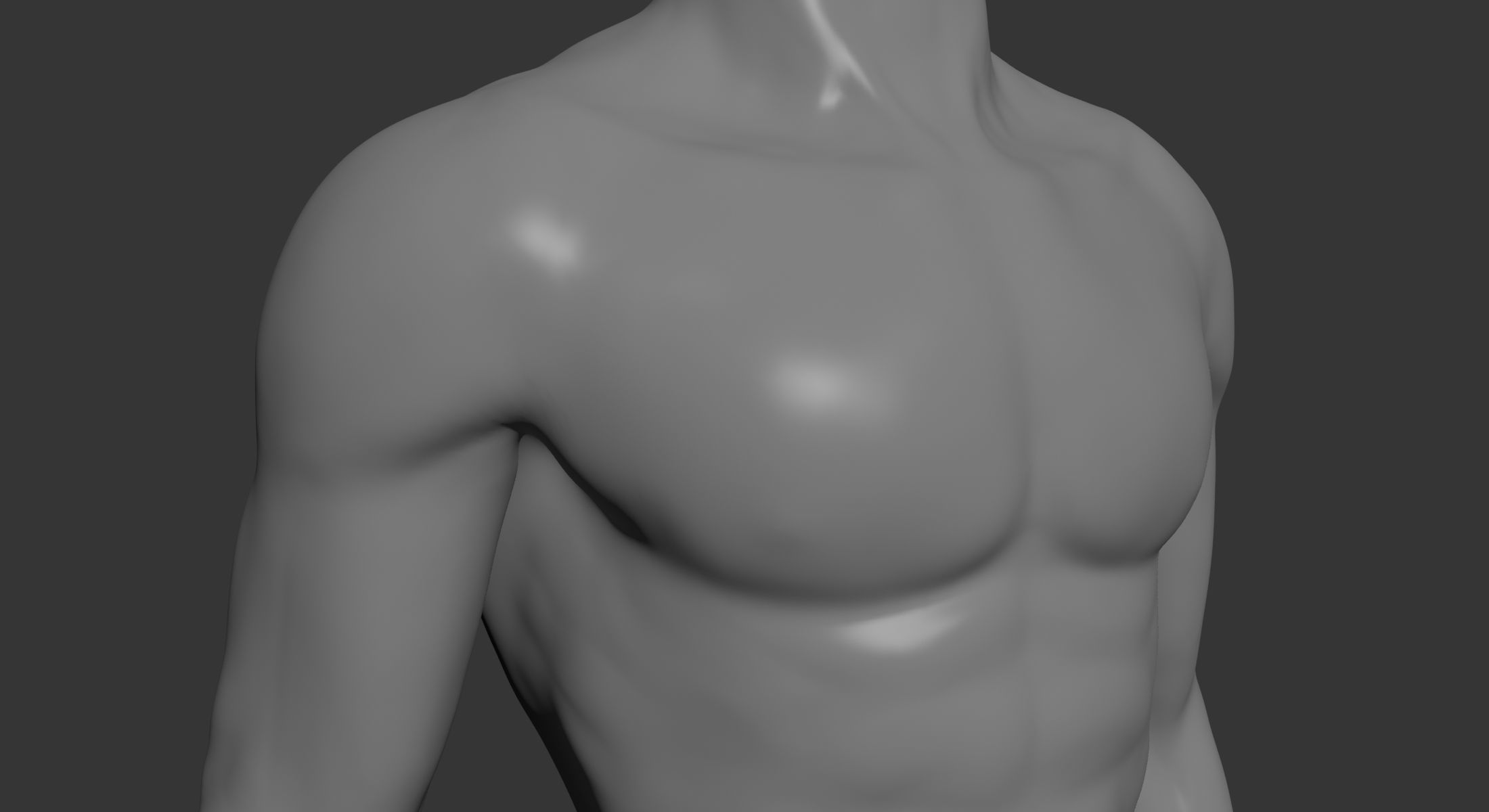 Male Mannequin Torso 3D model_7