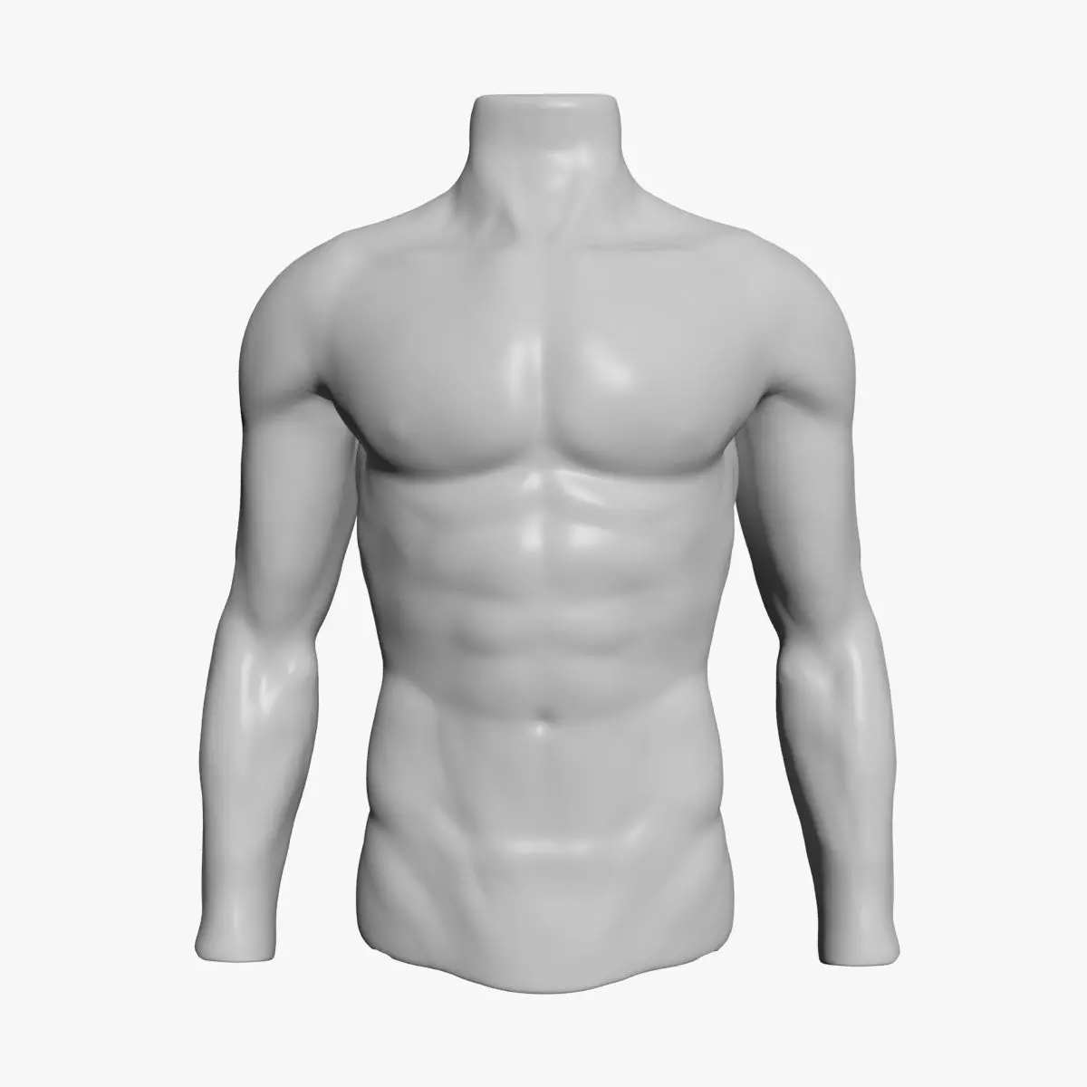 Male Mannequin Torso 3D model_0