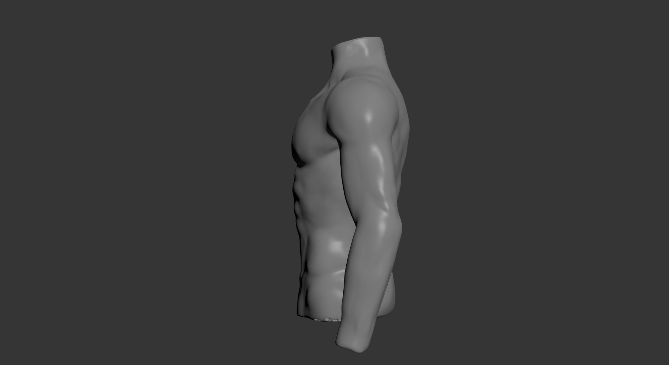 Male Mannequin Torso 3D model_6
