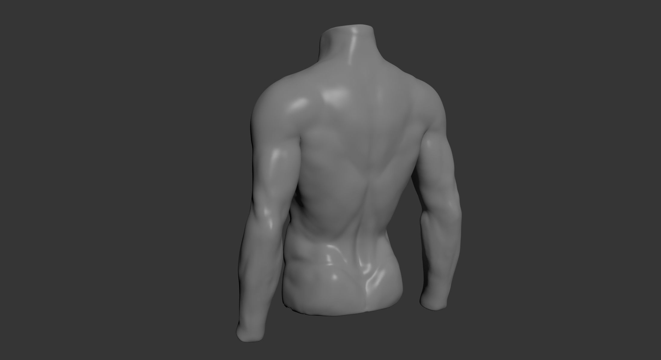 Male Mannequin Torso 3D model_4