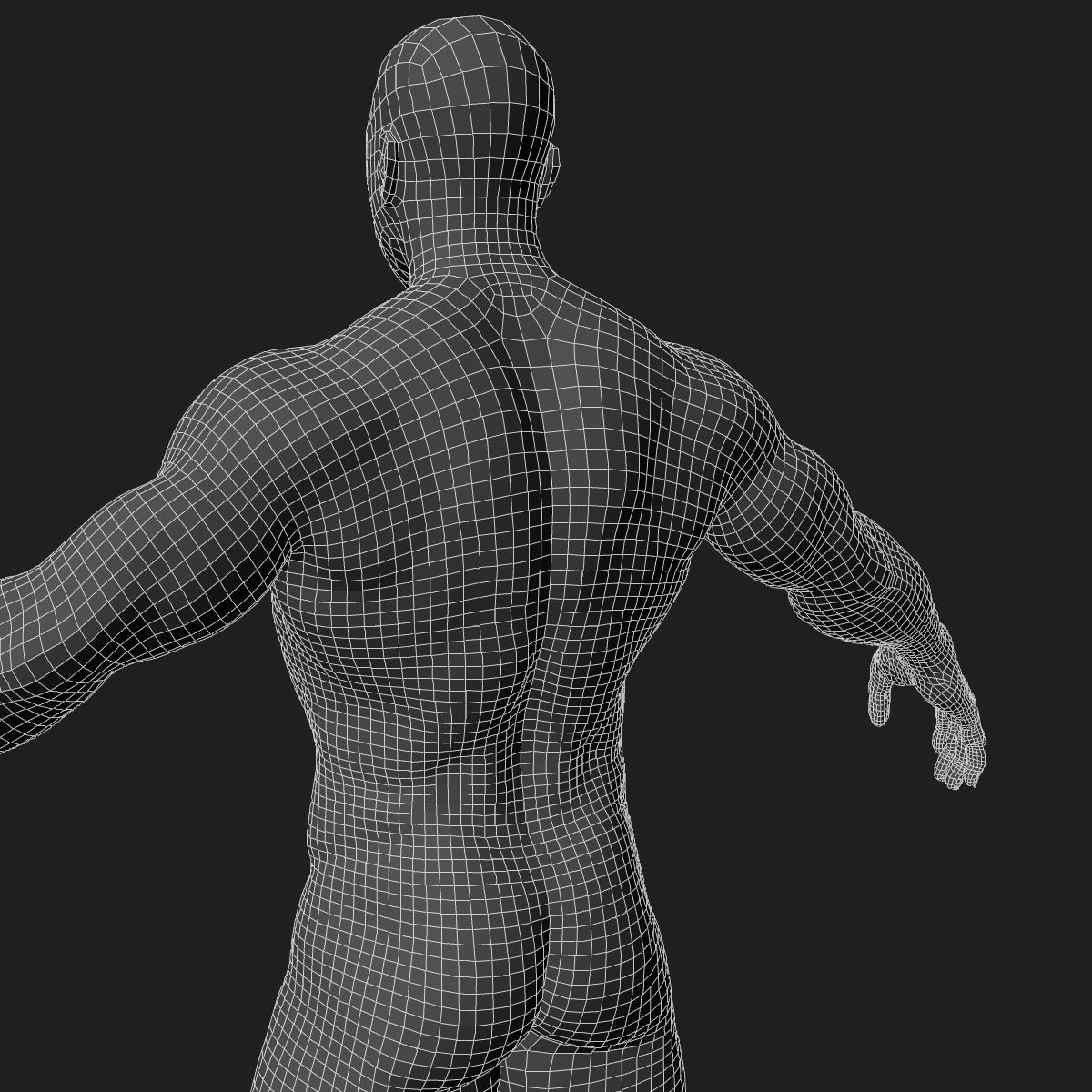 Male and Female Full Body Anatomy 3D model_83