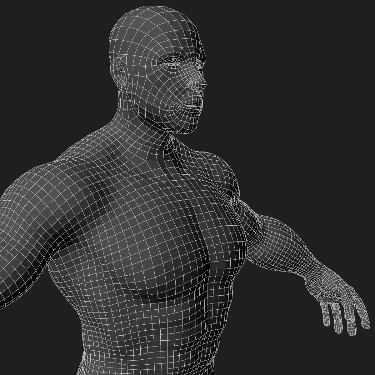 Male and Female Full Body Anatomy 3D model_81
