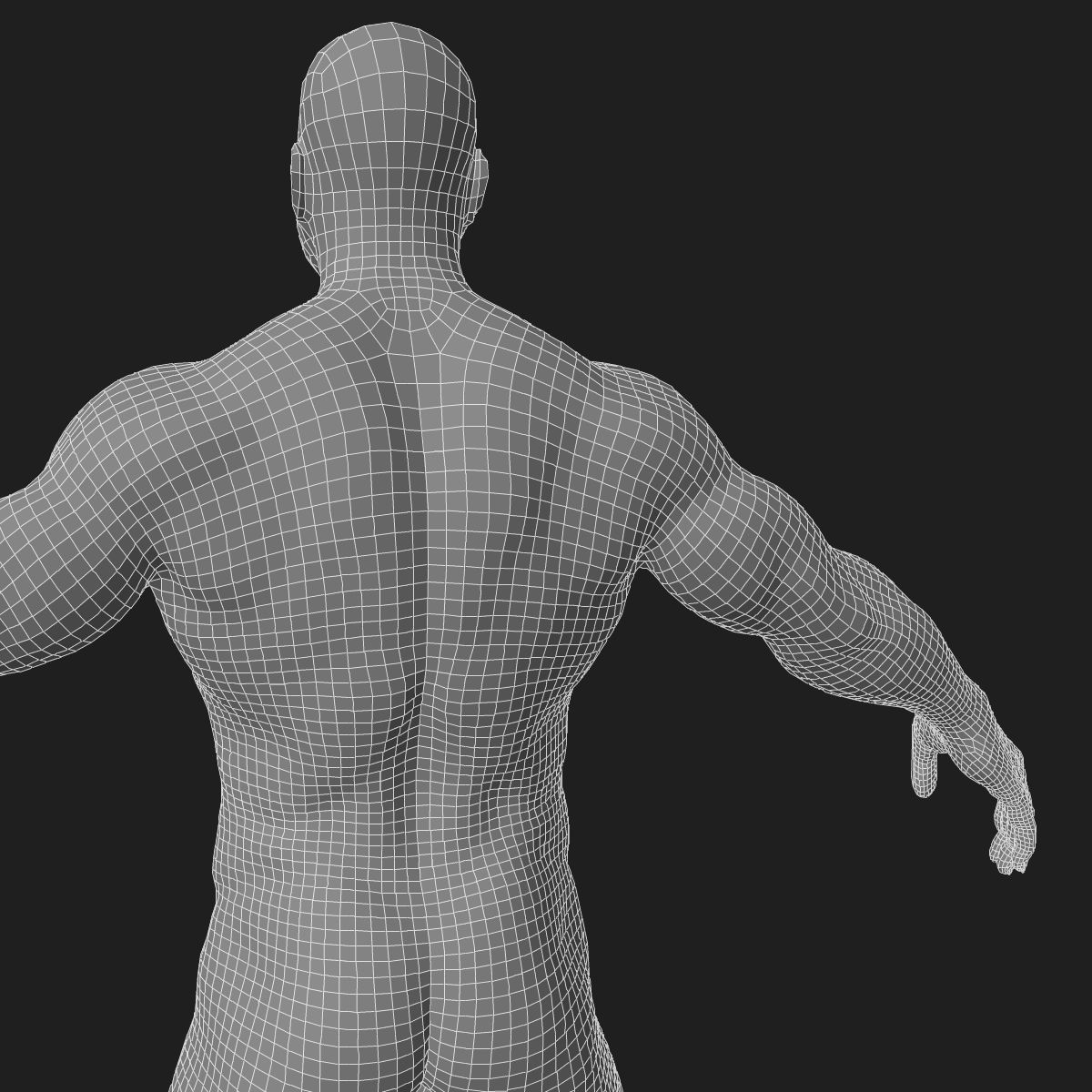 Male and Female Full Body Anatomy 3D model_89