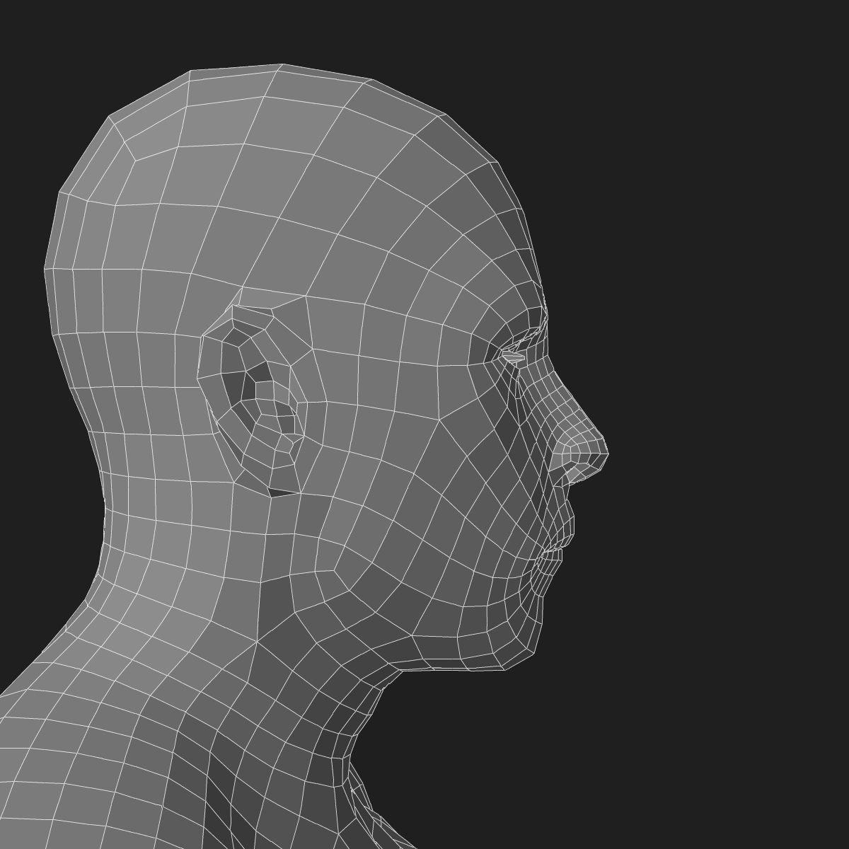 Male and Female Full Body Anatomy 3D model_90