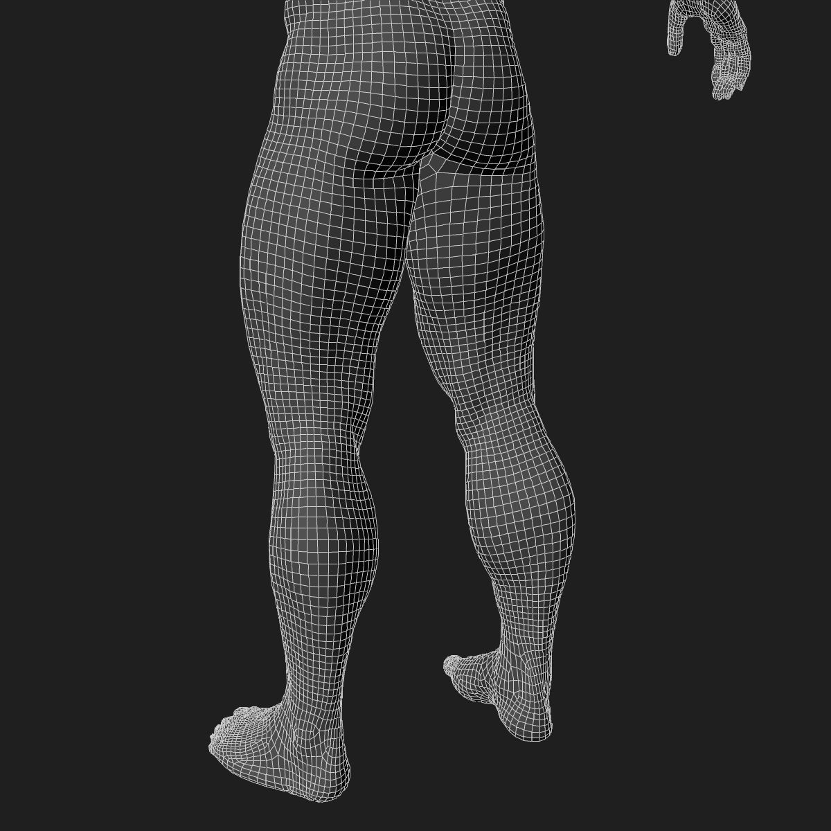 Male and Female Full Body Anatomy 3D model_84