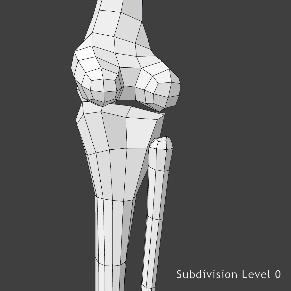 Male and Female Full Body Anatomy 3D model_47