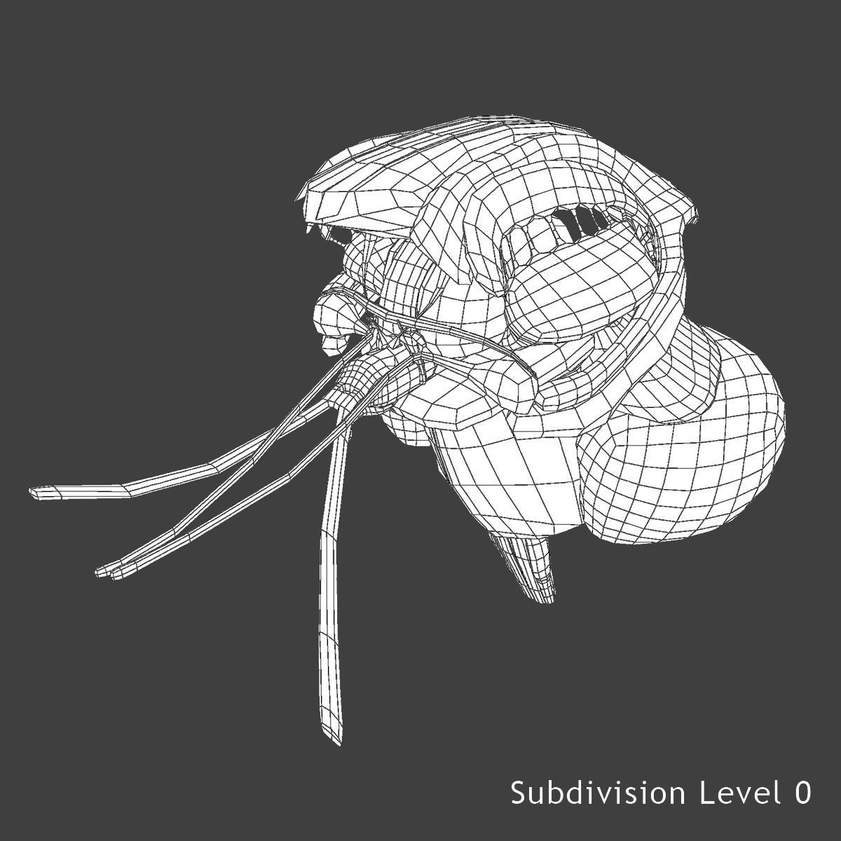 Male and Female Full Body Anatomy 3D model_54
