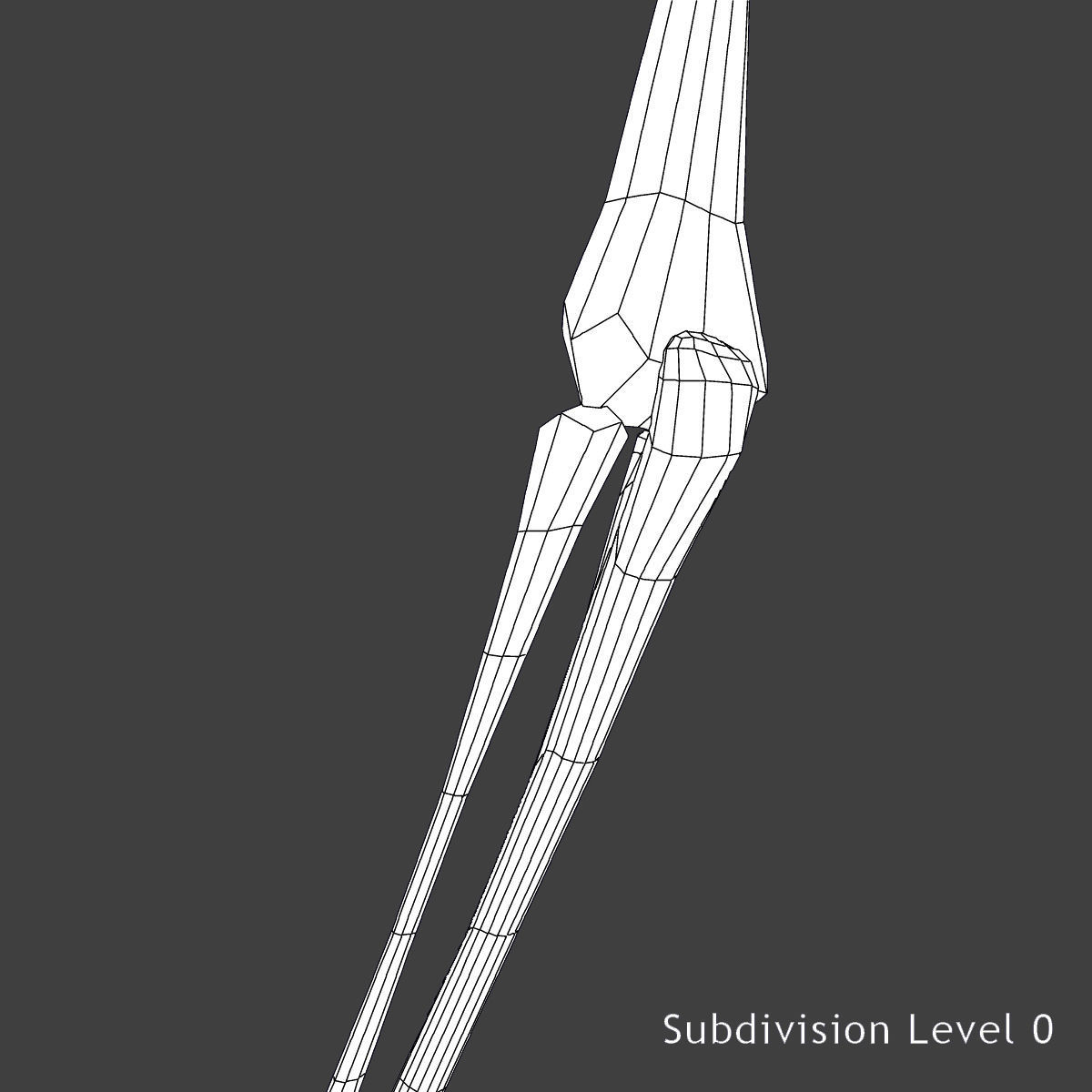 Male and Female Full Body Anatomy 3D model_43