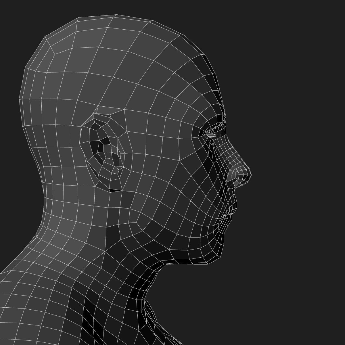 Male and Female Full Body Anatomy 3D model_80