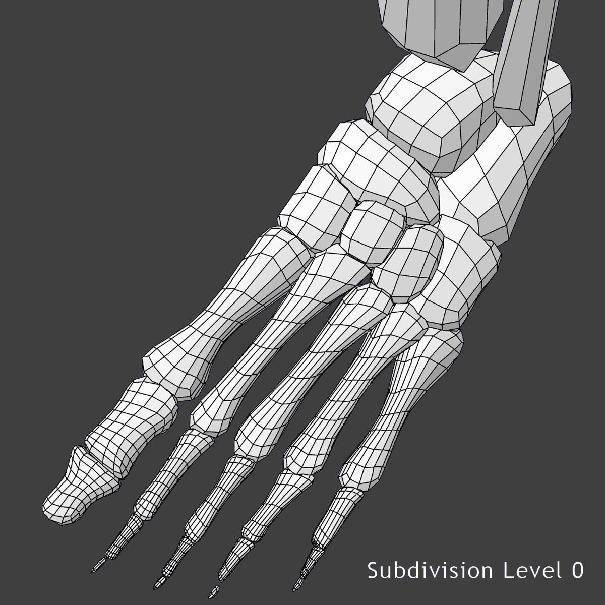 Male and Female Full Body Anatomy 3D model_44