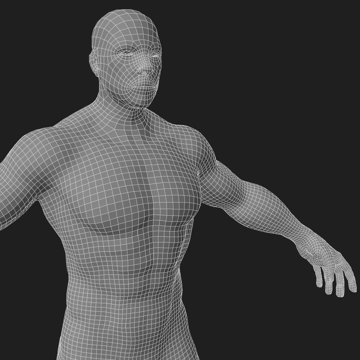 Male and Female Full Body Anatomy 3D model_88