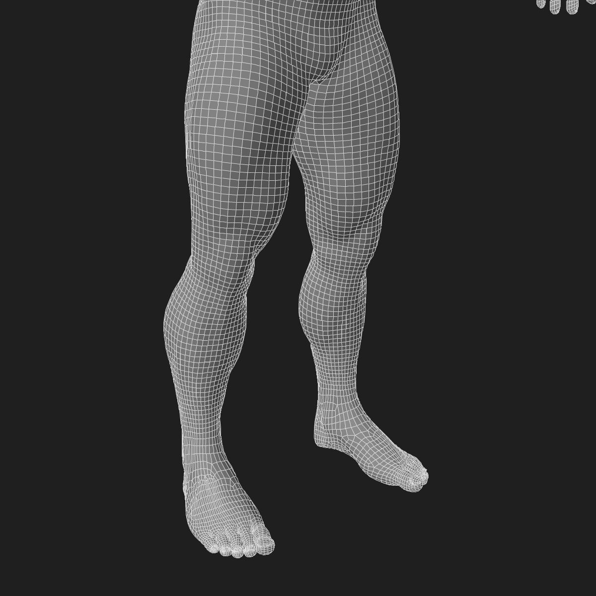 Male and Female Full Body Anatomy 3D model_86