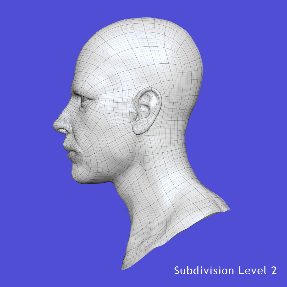 White Male Face Unrigged 3D model_16