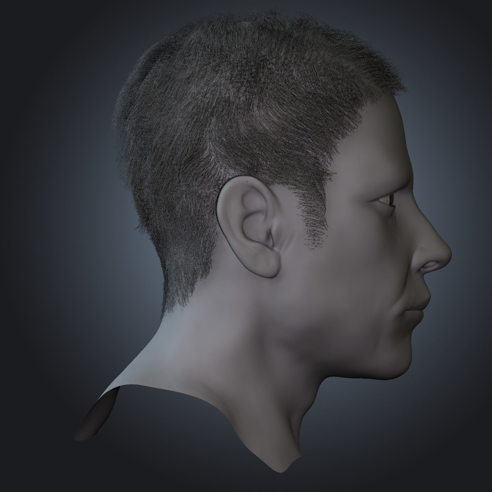 White Male Face Unrigged 3D model_3