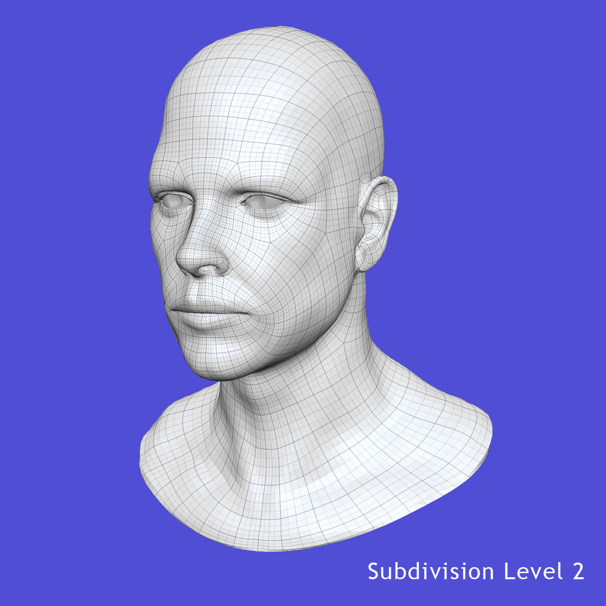 White Male Face Unrigged 3D model_13