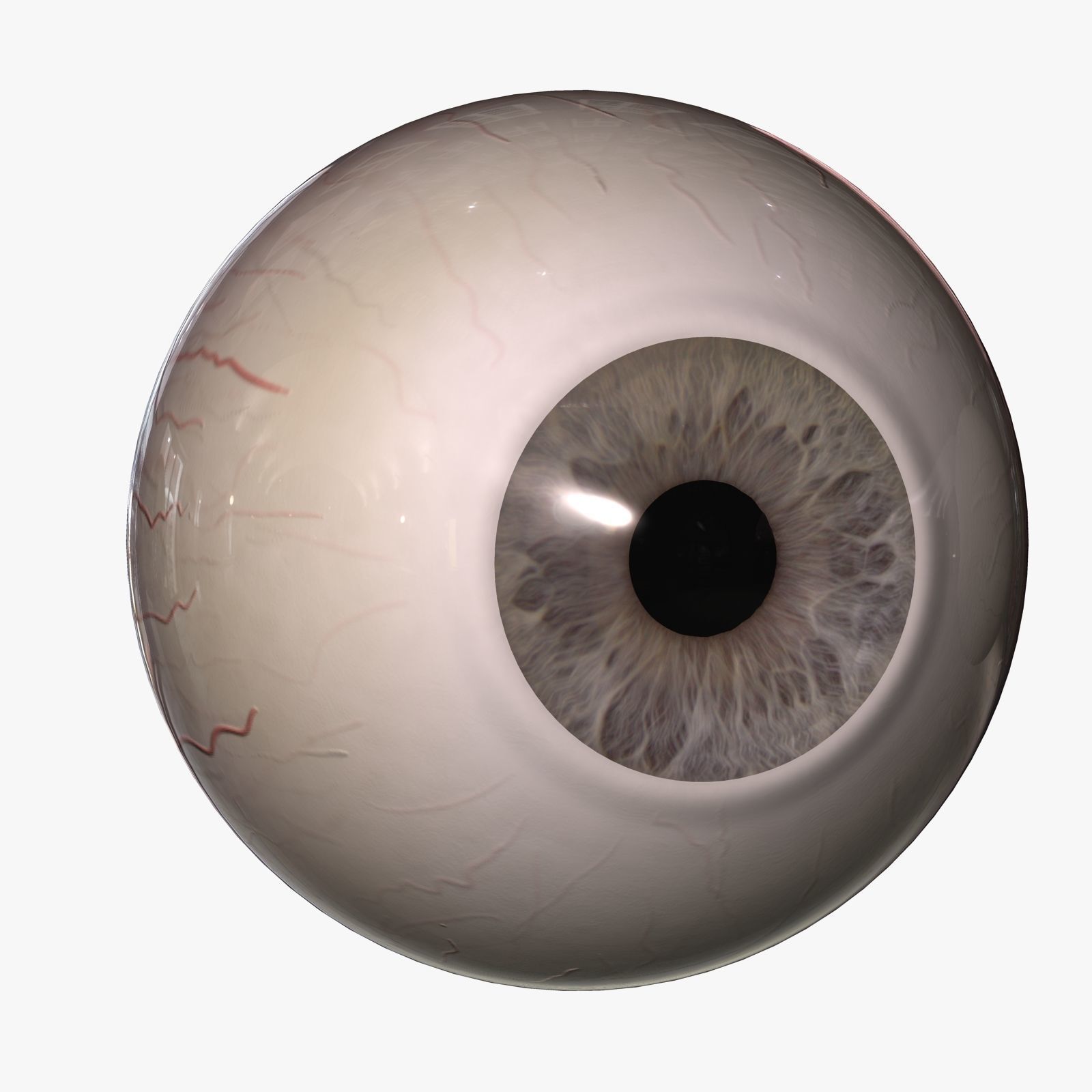 White Male Face Unrigged 3D model_4