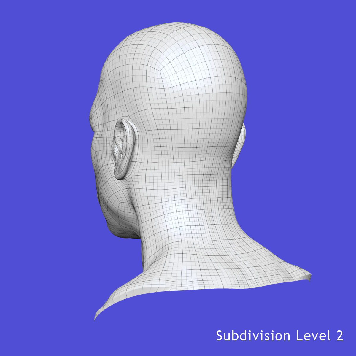 White Male Face Unrigged 3D model_19