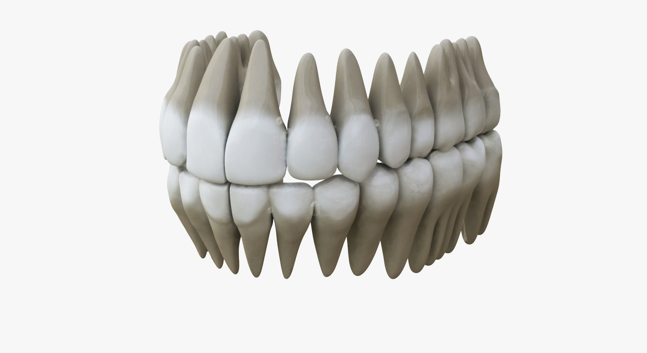 Male Mouth Rigged 3D model_16