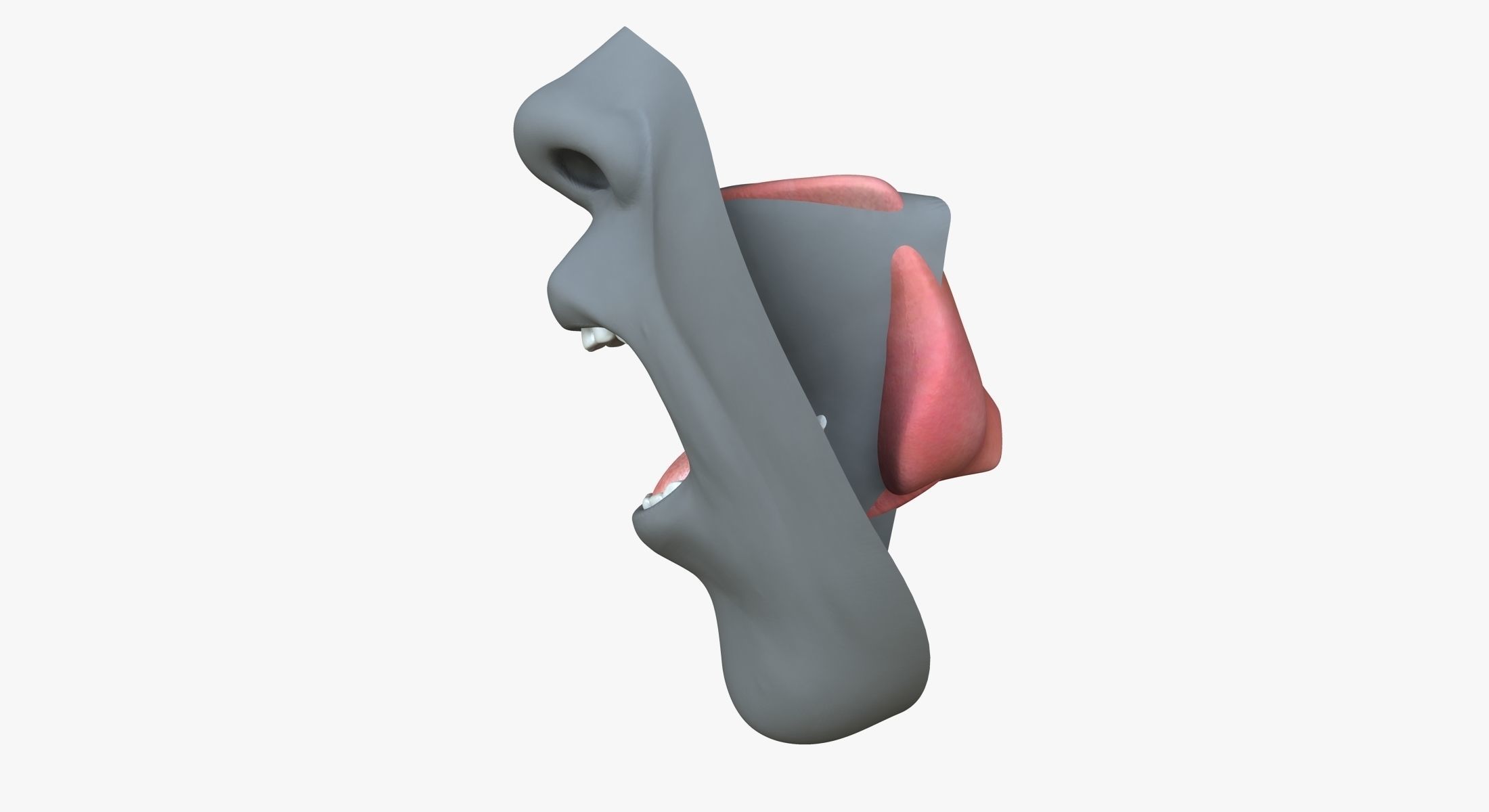 Male Mouth Rigged 3D model_11