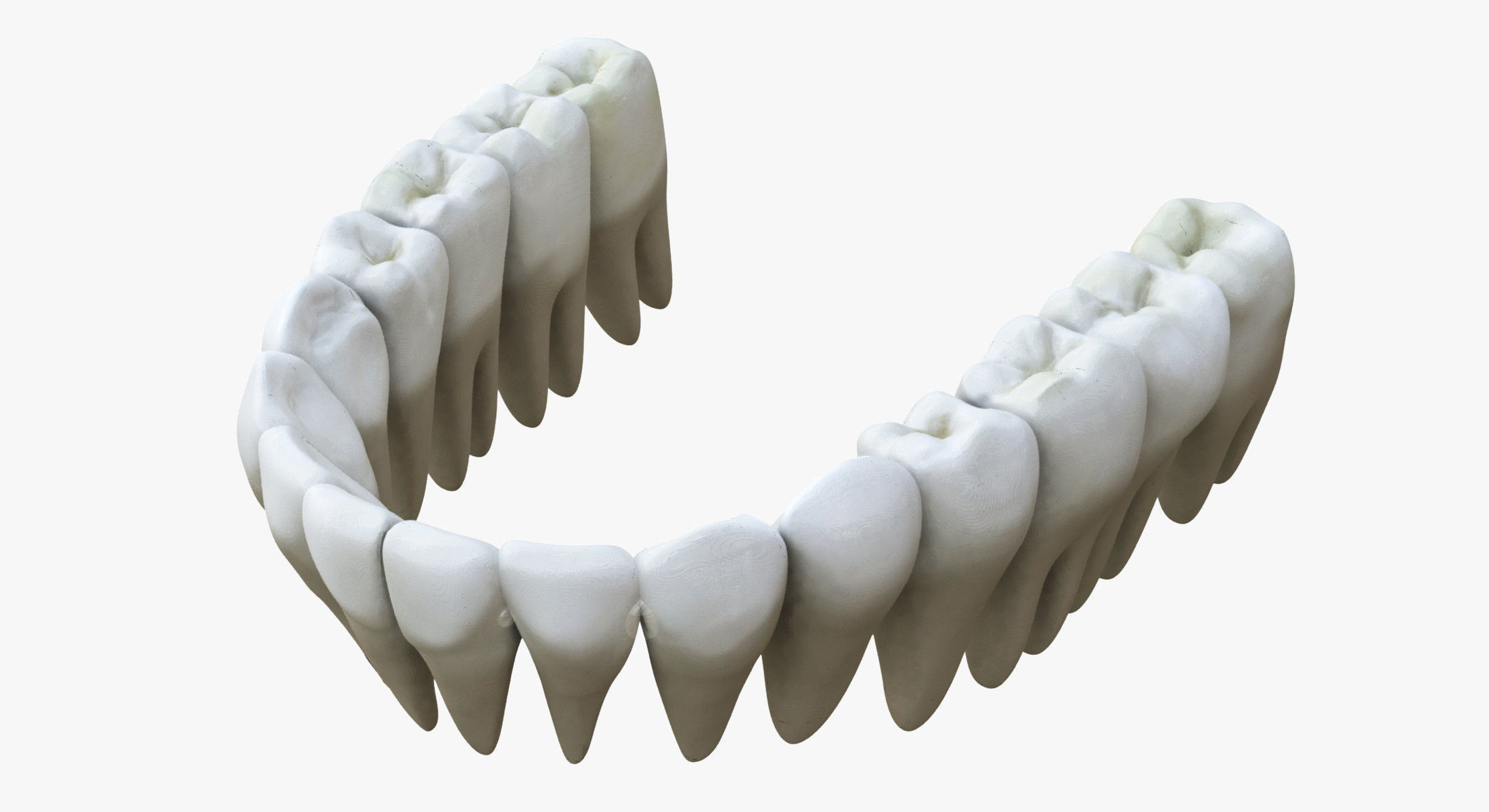 Male Mouth Rigged 3D model_17