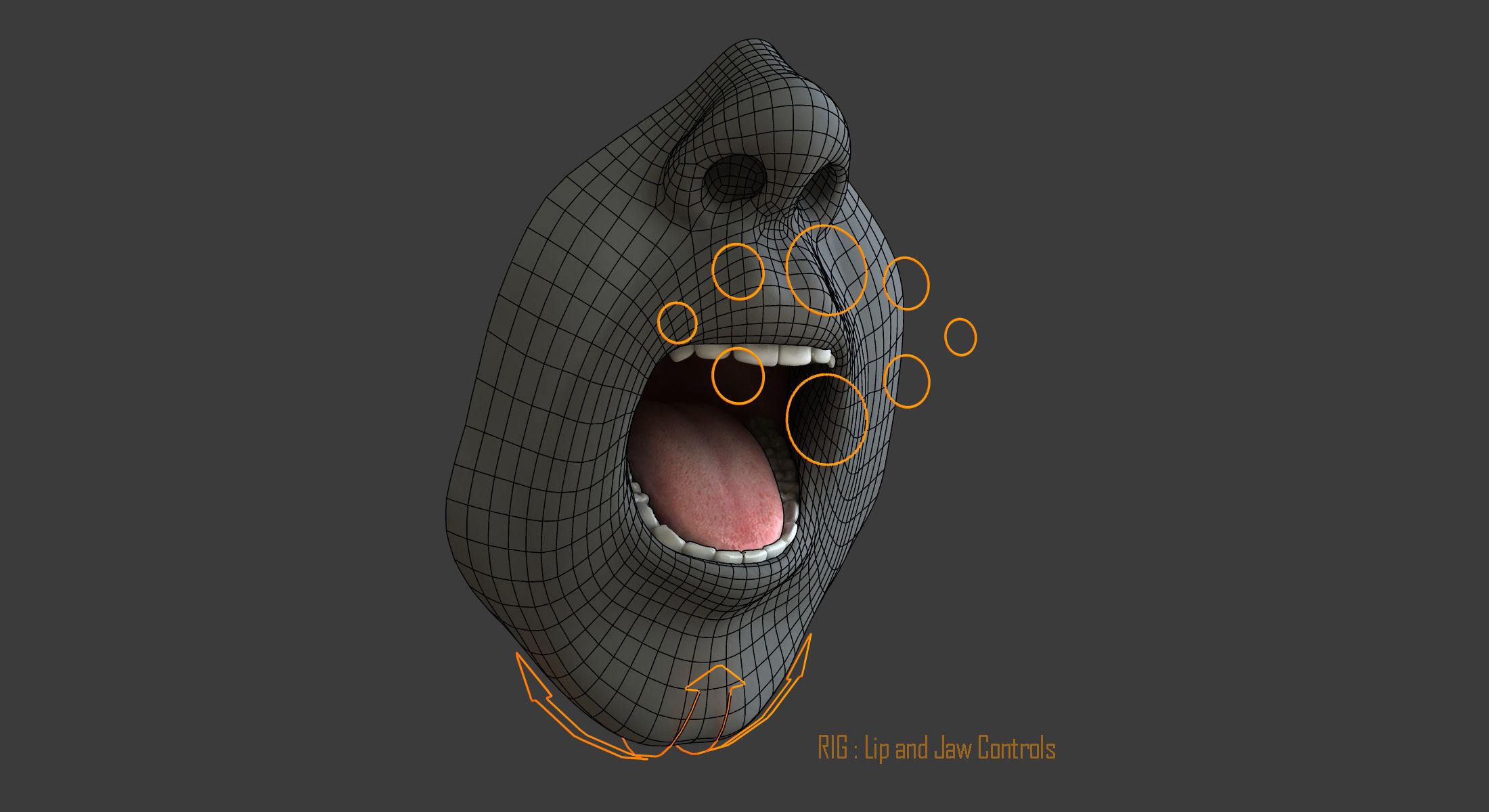Male Mouth Rigged 3D model_12