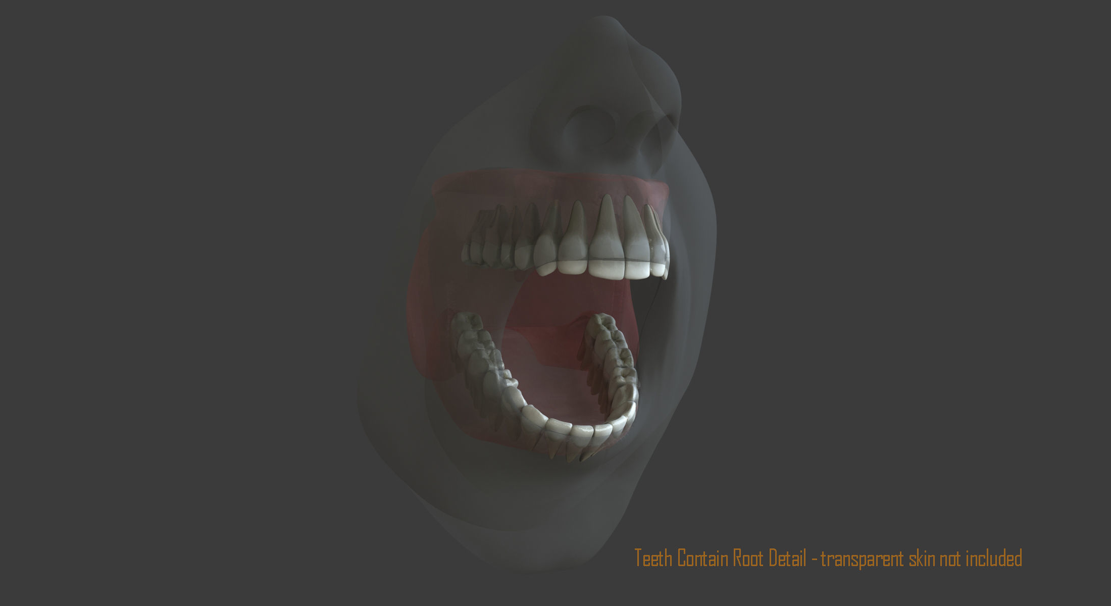 Male Mouth Rigged 3D model_15