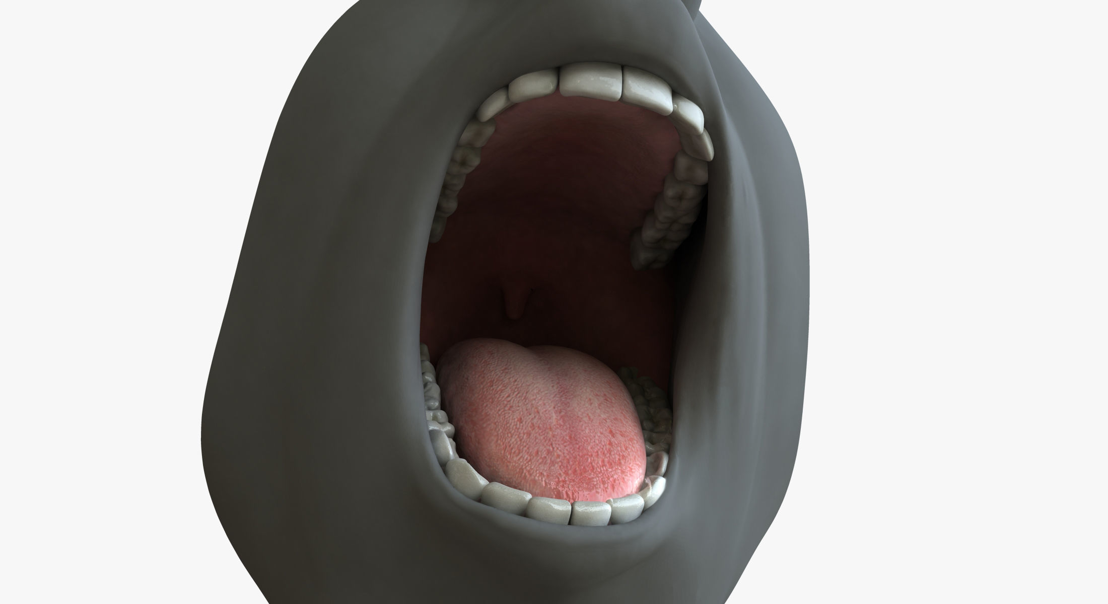 Male Mouth Rigged 3D model_8