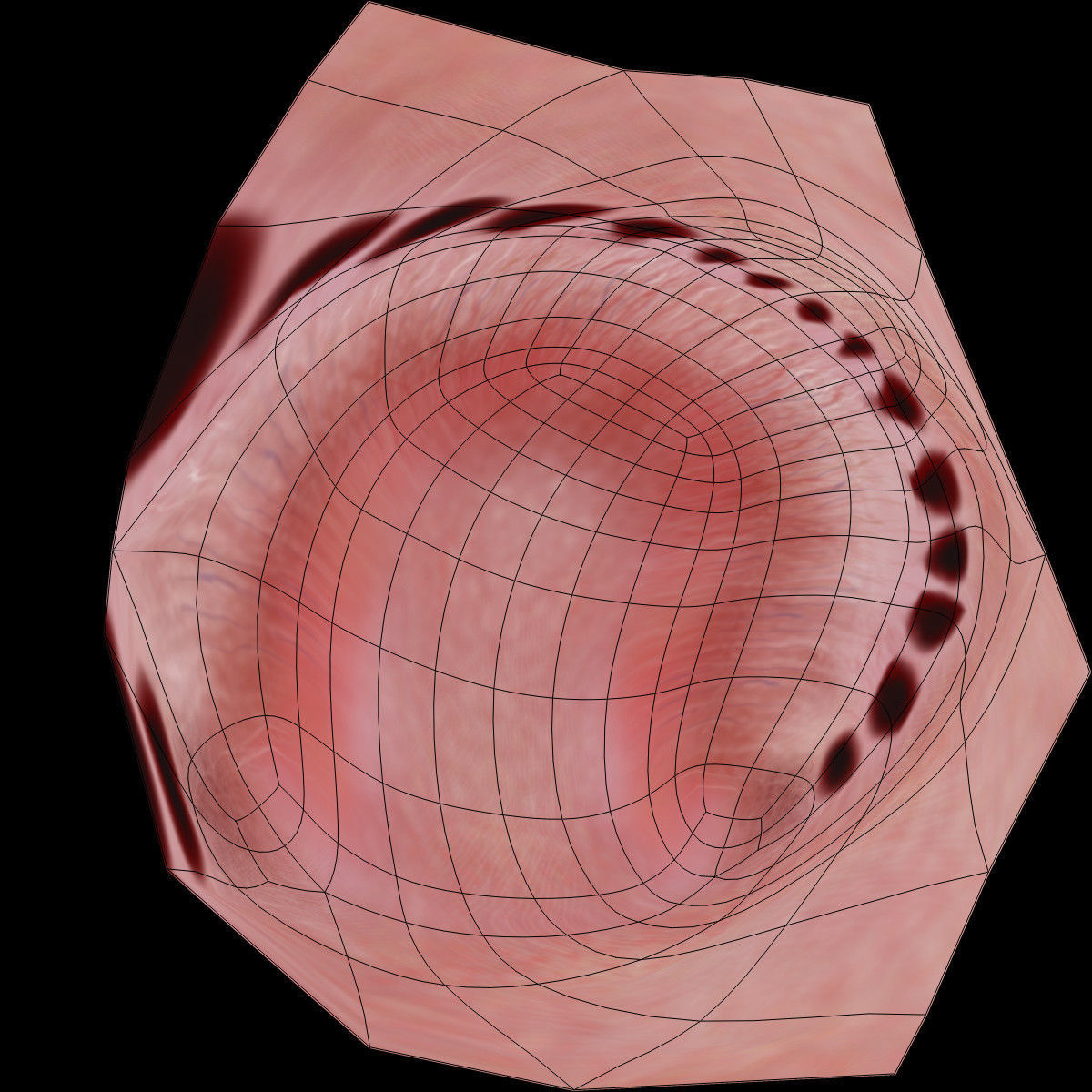 Male Mouth Rigged 3D model_22