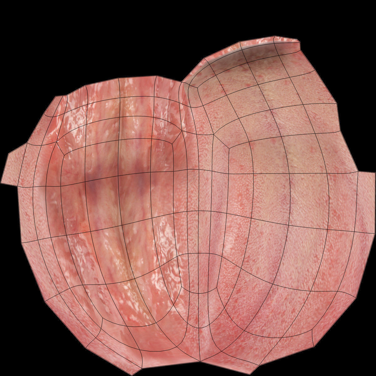 Male Mouth Rigged 3D model_20