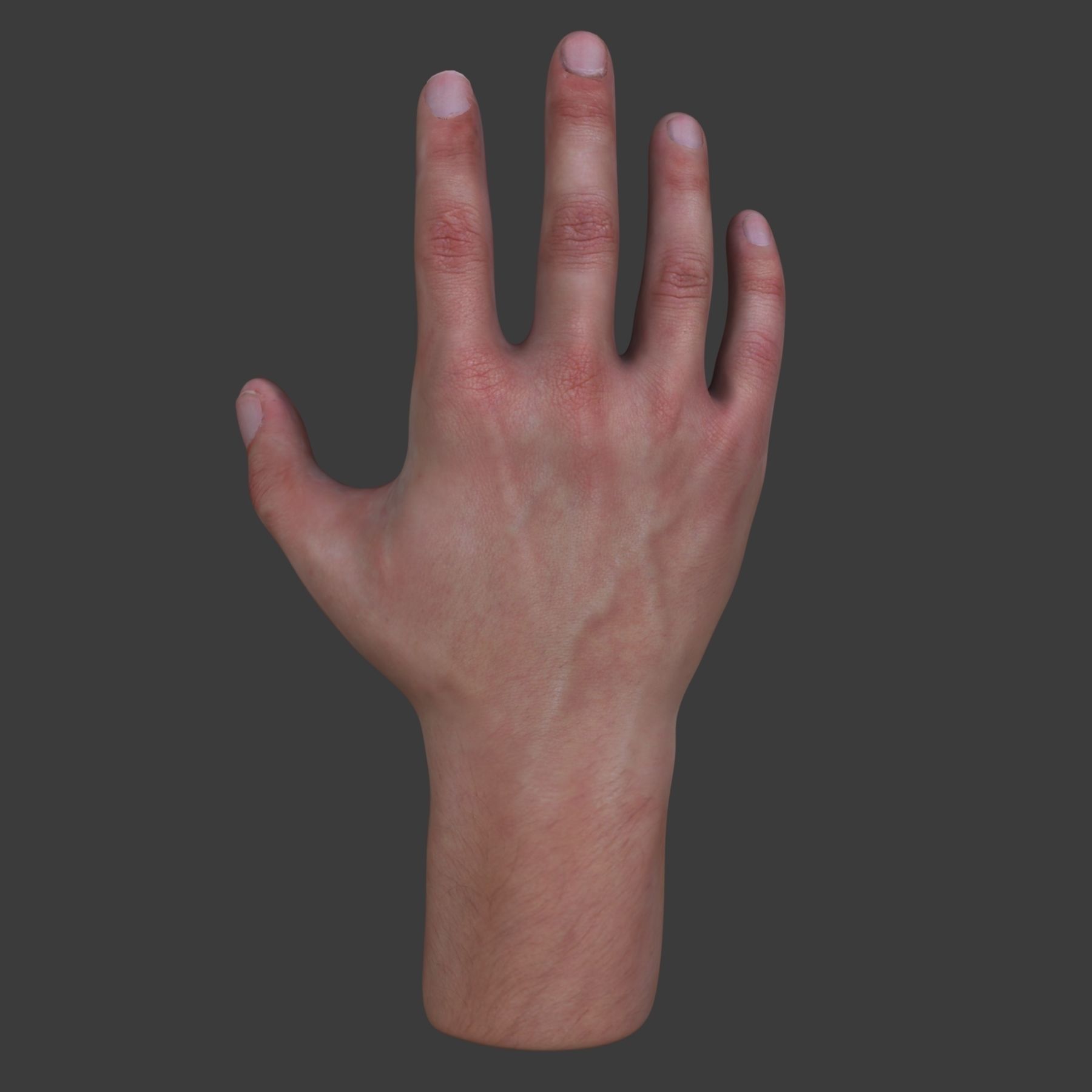 Male Hand 3D model_2