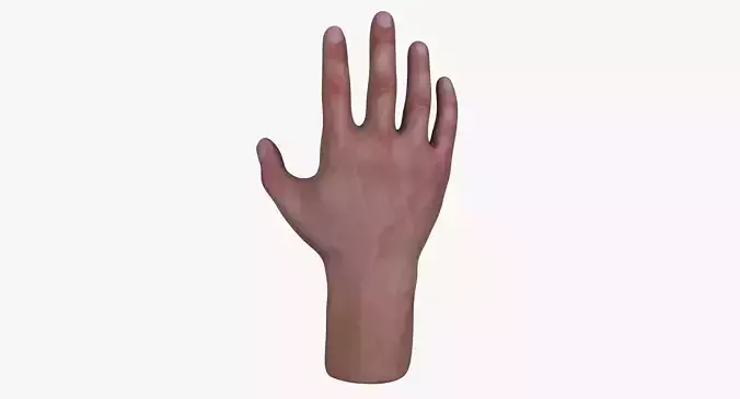 Male Hand