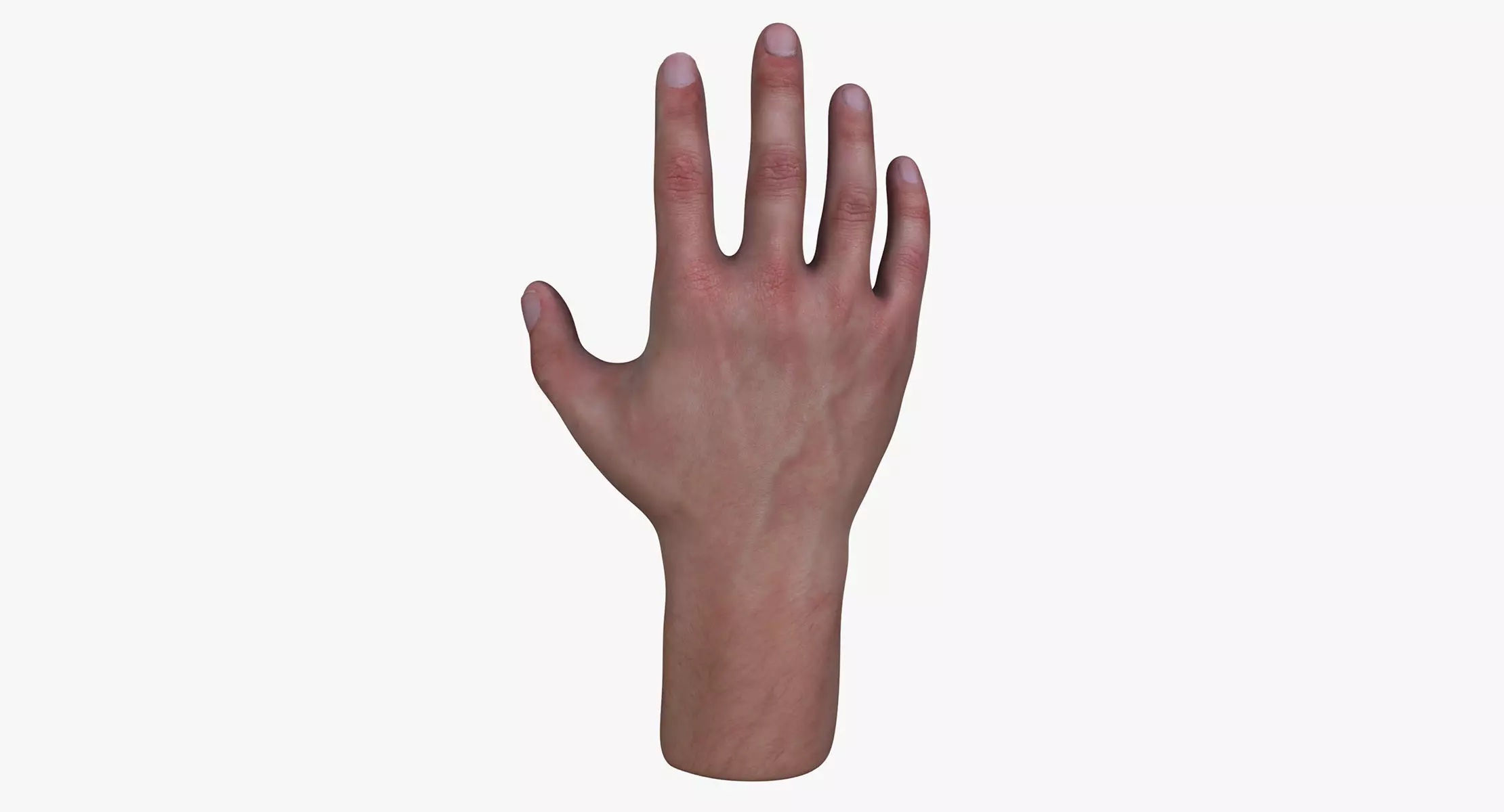 Male Hand 3D model_0