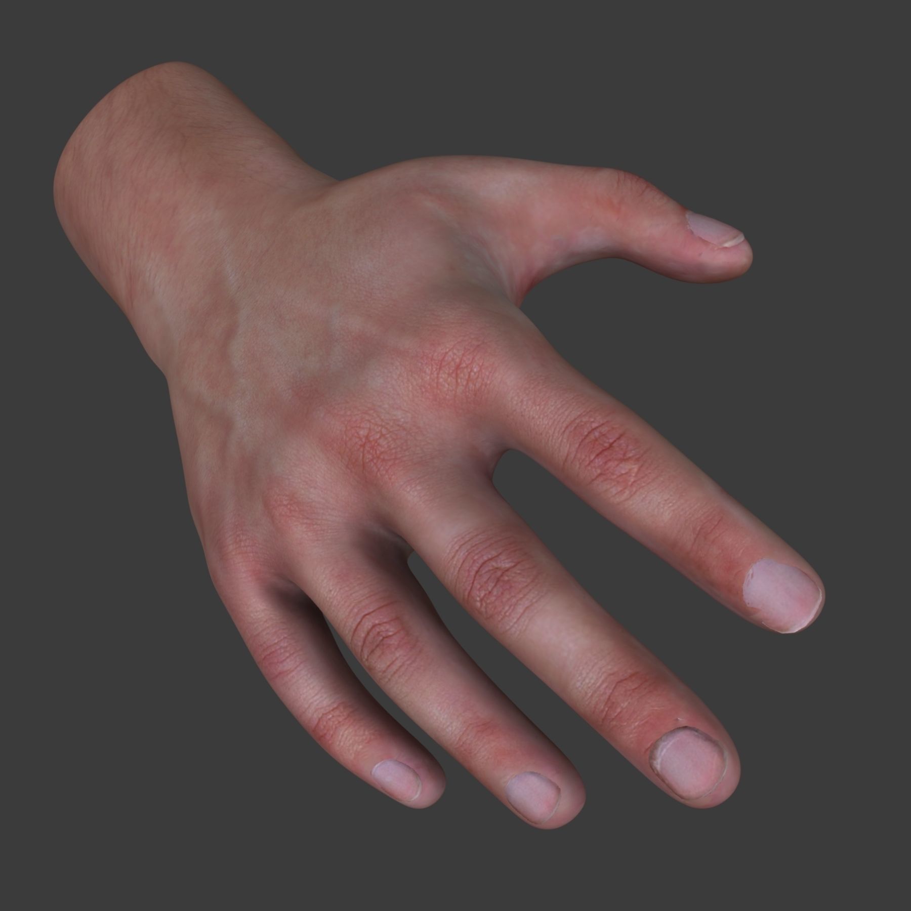 Male Hand 3D model_5