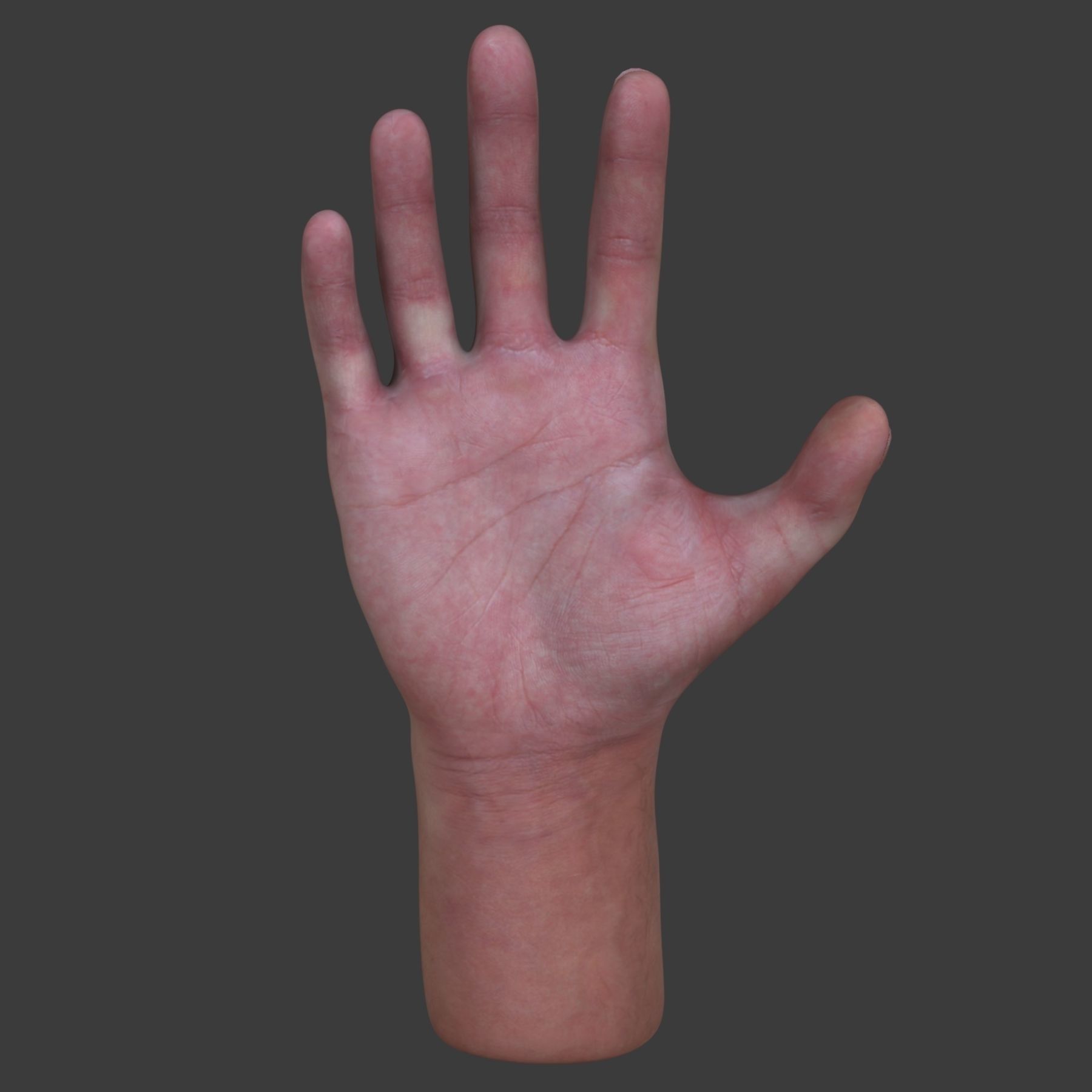 Male Hand 3D model_3