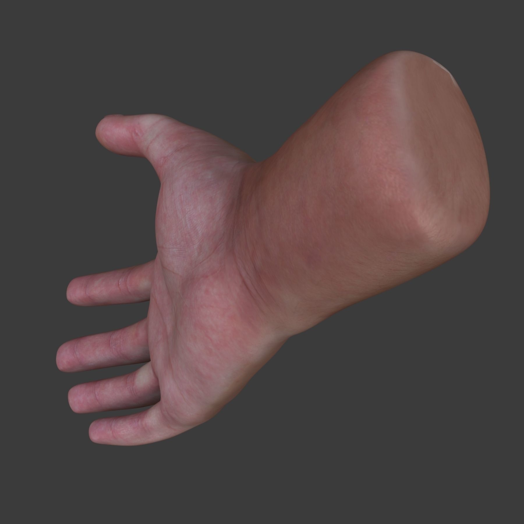 Male Hand 3D model_6