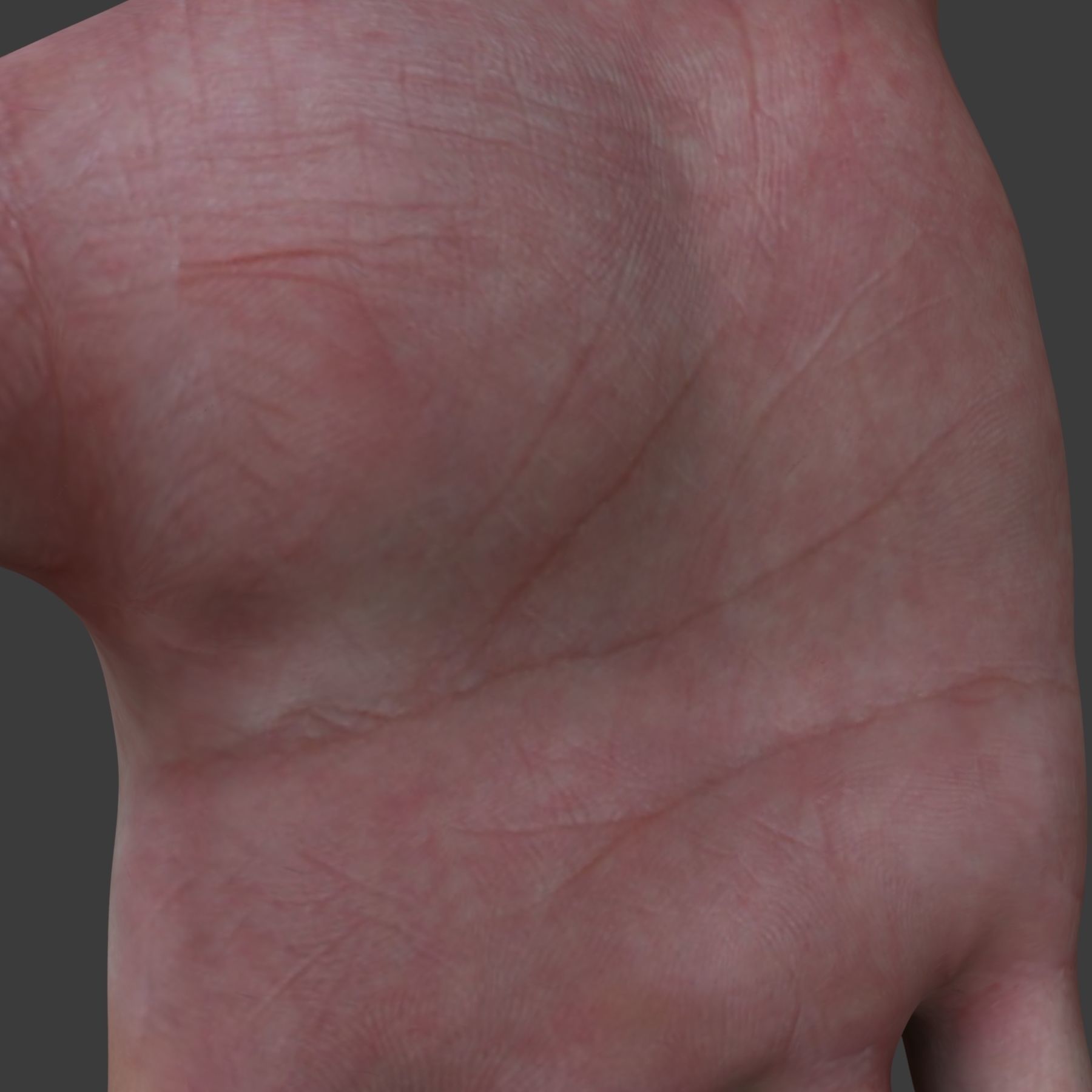 Male Hand 3D model_7