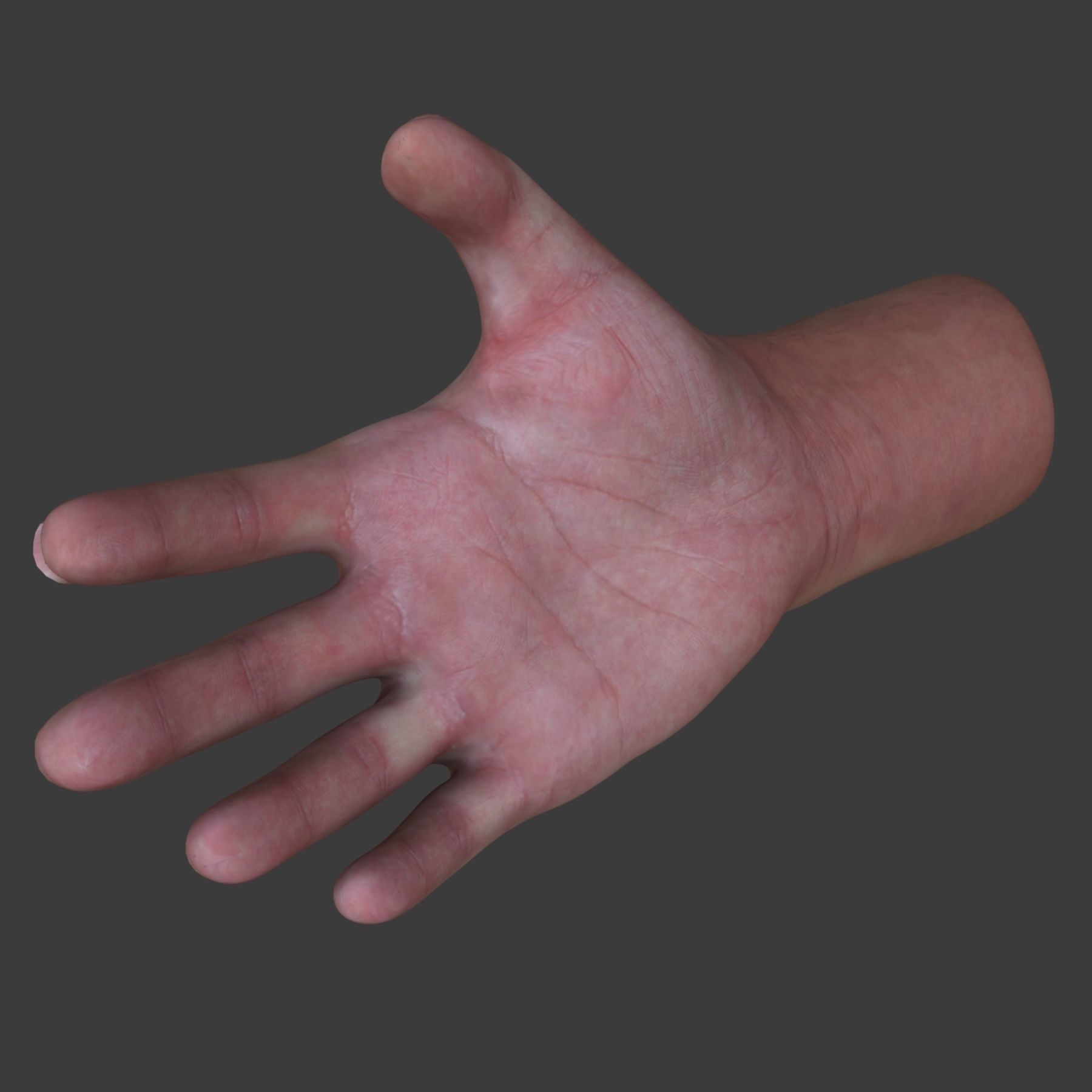 Male Hand 3D model_4