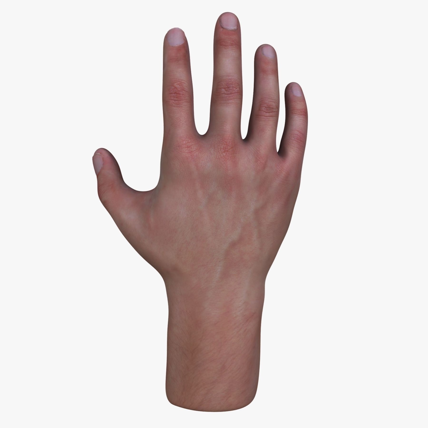 Male Hand 3D model_1