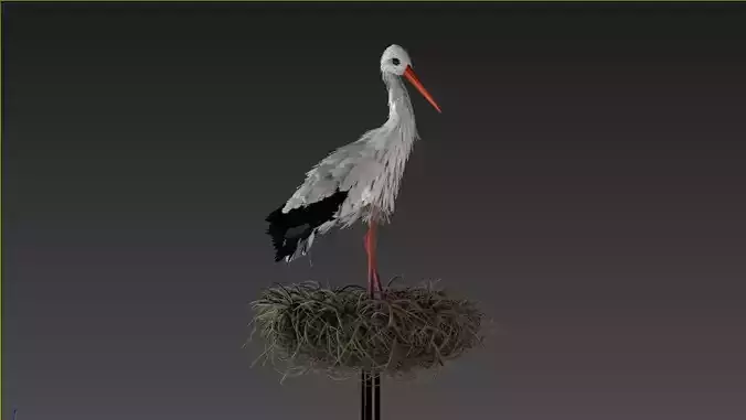 Stork 3D model feathers  3D model